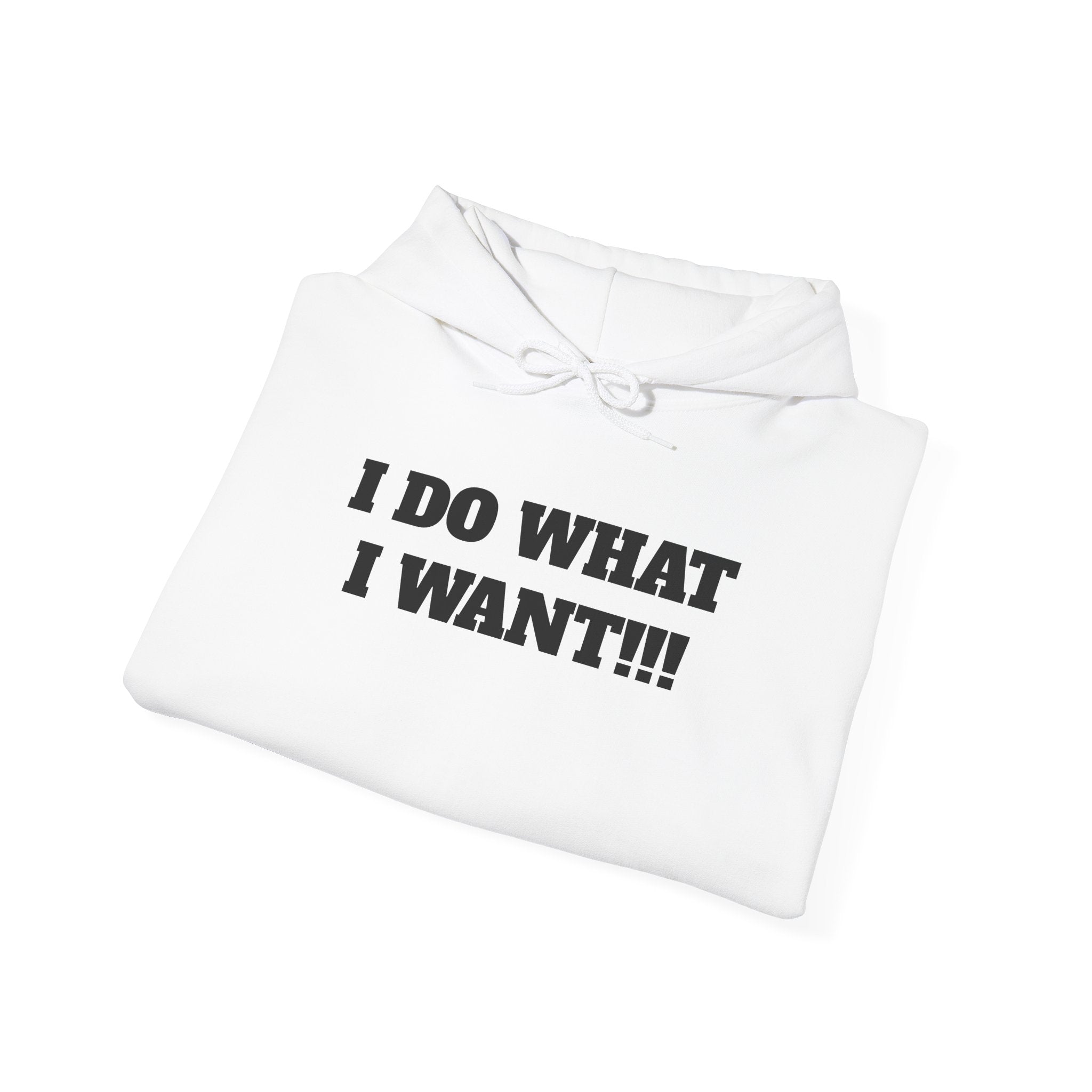 Hoodie — I DO WHAT I WANT!!! Bold Statement Pullover
