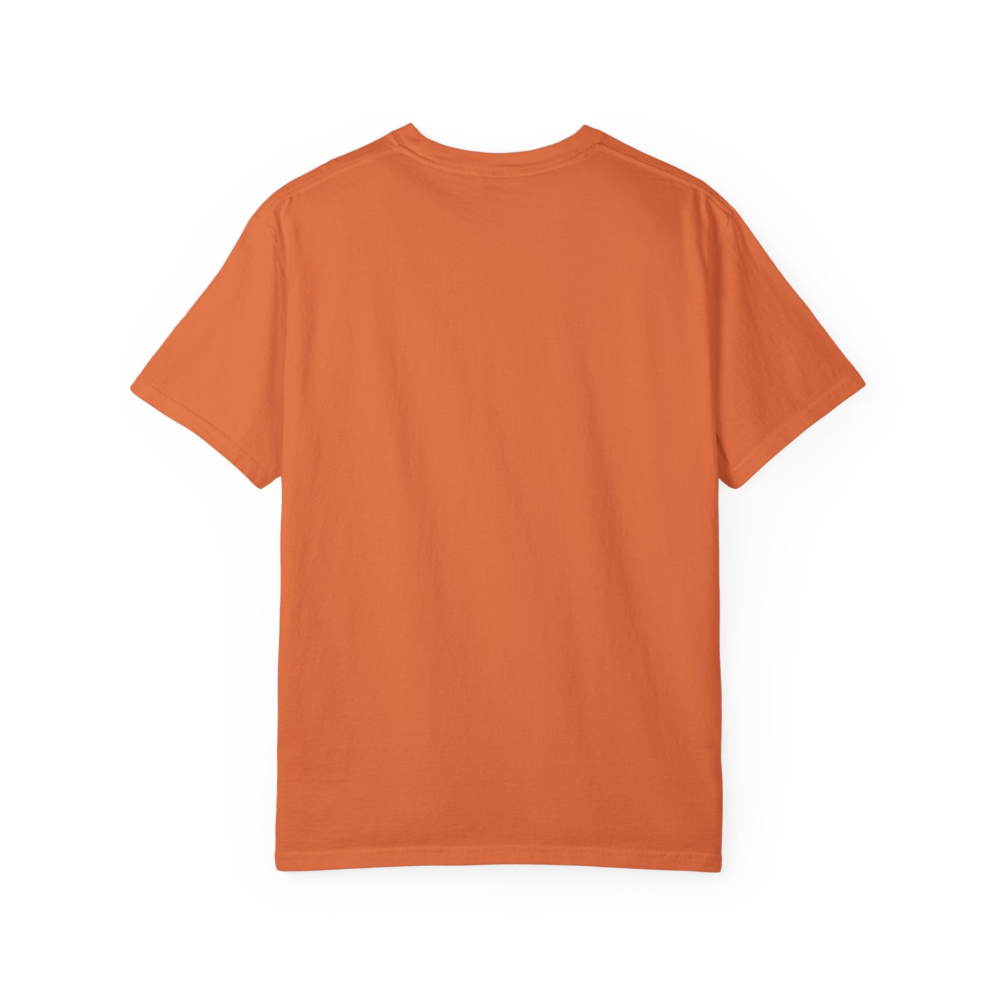 T-Shirt — "The Two Most Important Days" Inspirational Quote Tee