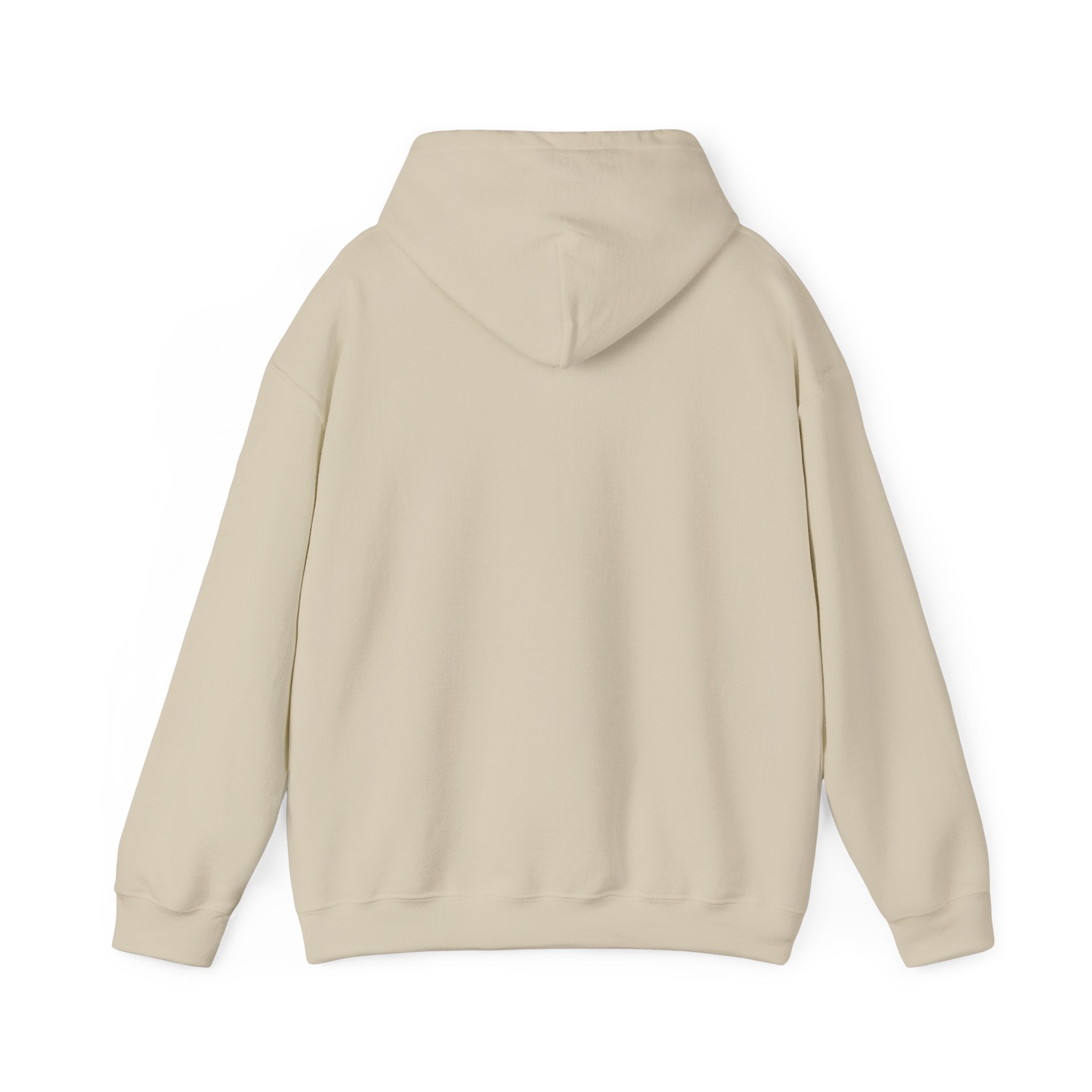 1995 Nostalgia Hoodie – “Hey Cowboy Fans, Do You Remember the Year... 1995?”