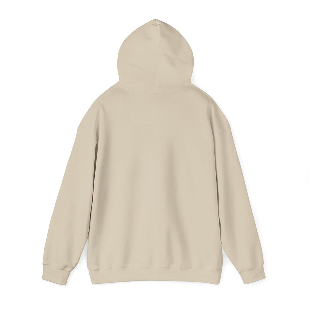 1995 Nostalgia Hoodie – “Hey Cowboy Fans, Do You Remember the Year... 1995?”