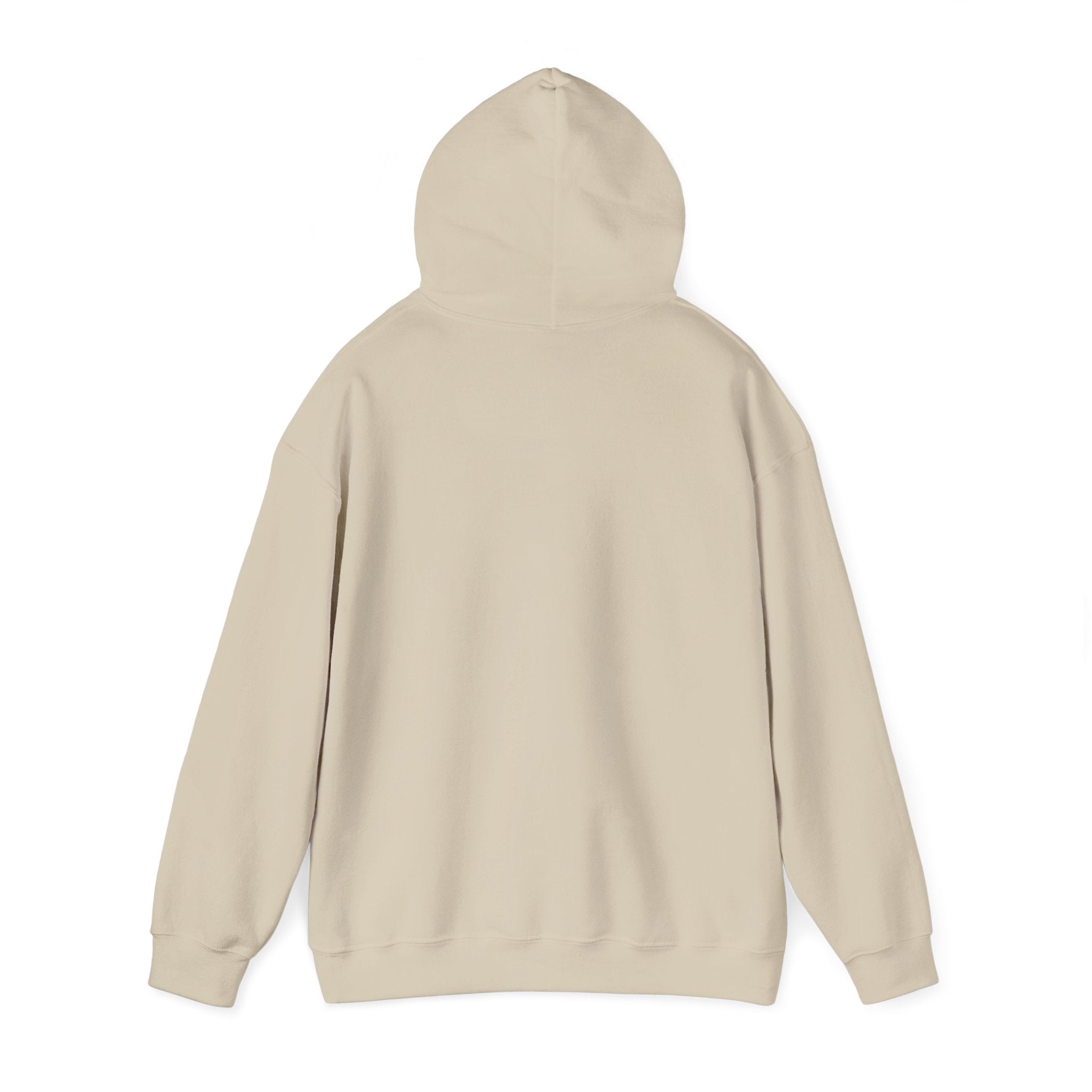 1995 Nostalgia Hoodie – “Hey Cowboy Fans, Do You Remember the Year... 1995?”