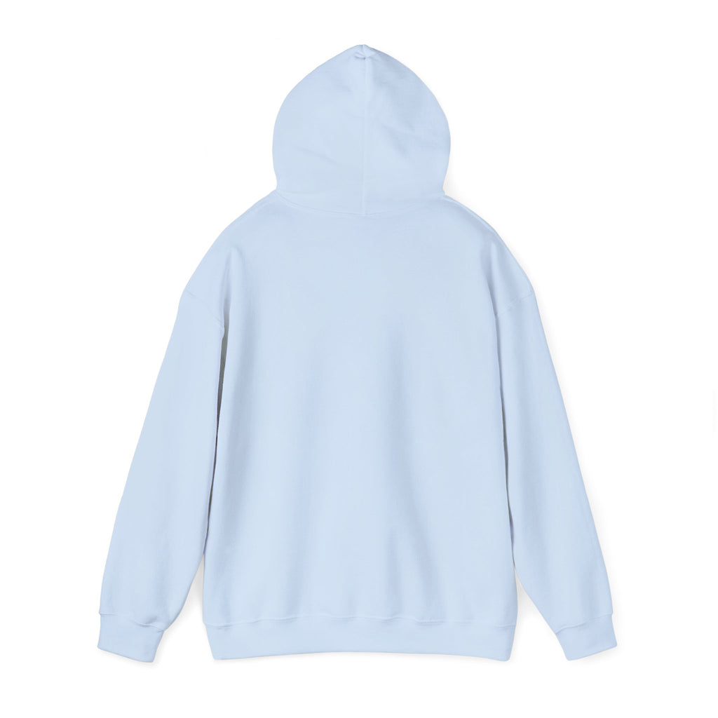 Quote Hoodie — “The Two Most Important Days…” Inspirational Pullover