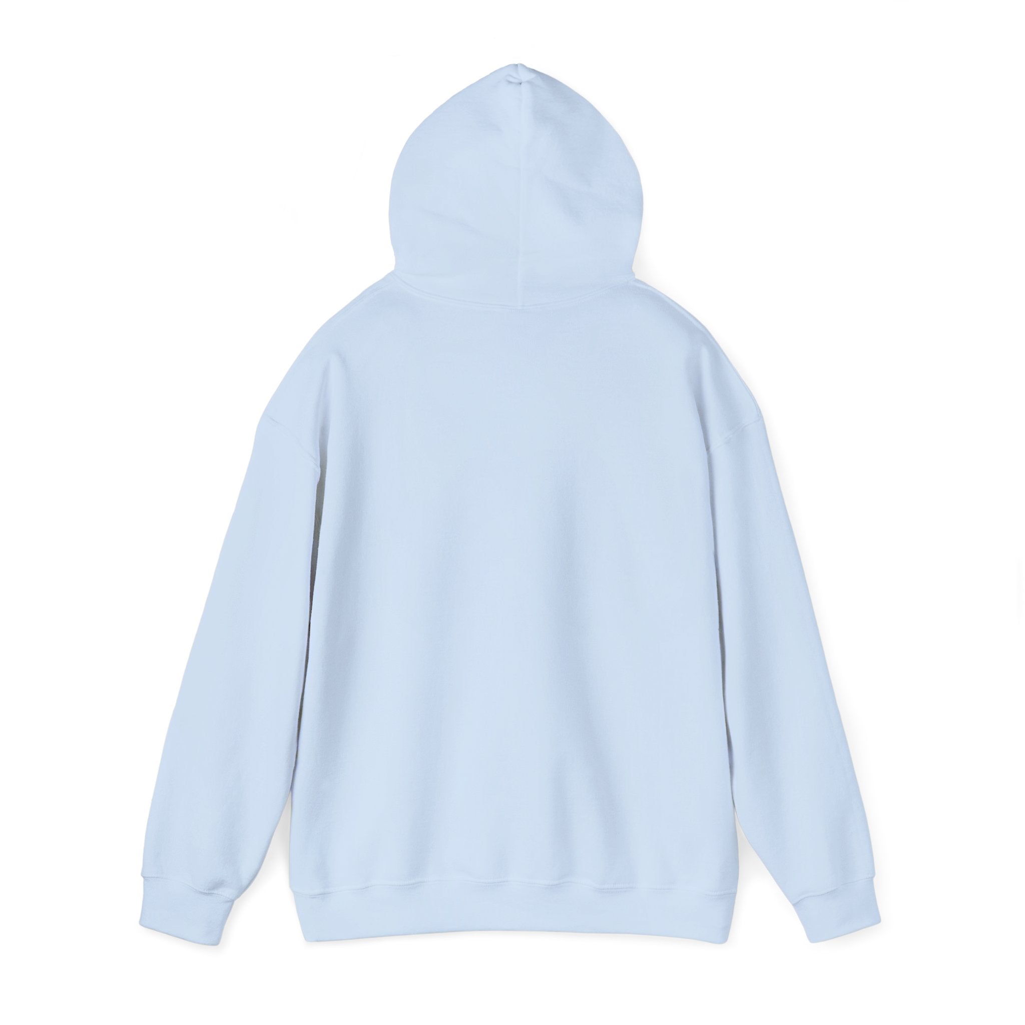 Quote Hoodie — “The Two Most Important Days…” Inspirational Pullover