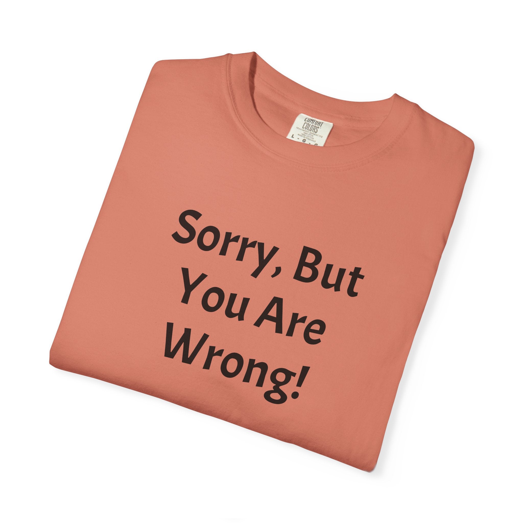 Sorry, But You Are Wrong! T-Shirt
