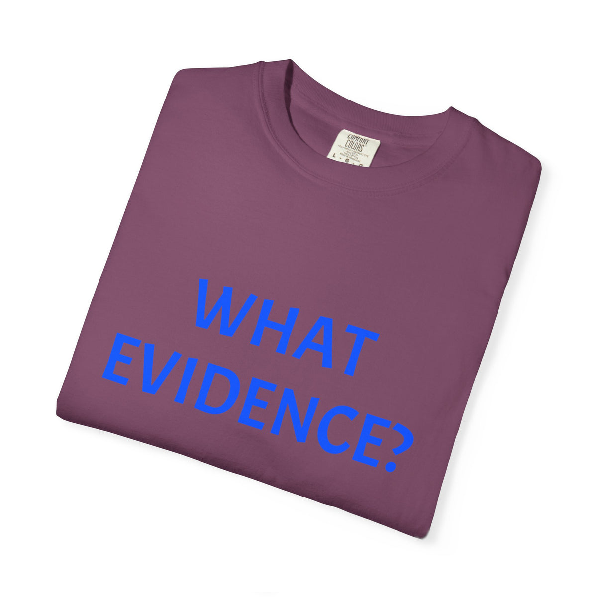 What Evidence? T-Shirt — Funny Skeptic Graphic Tee