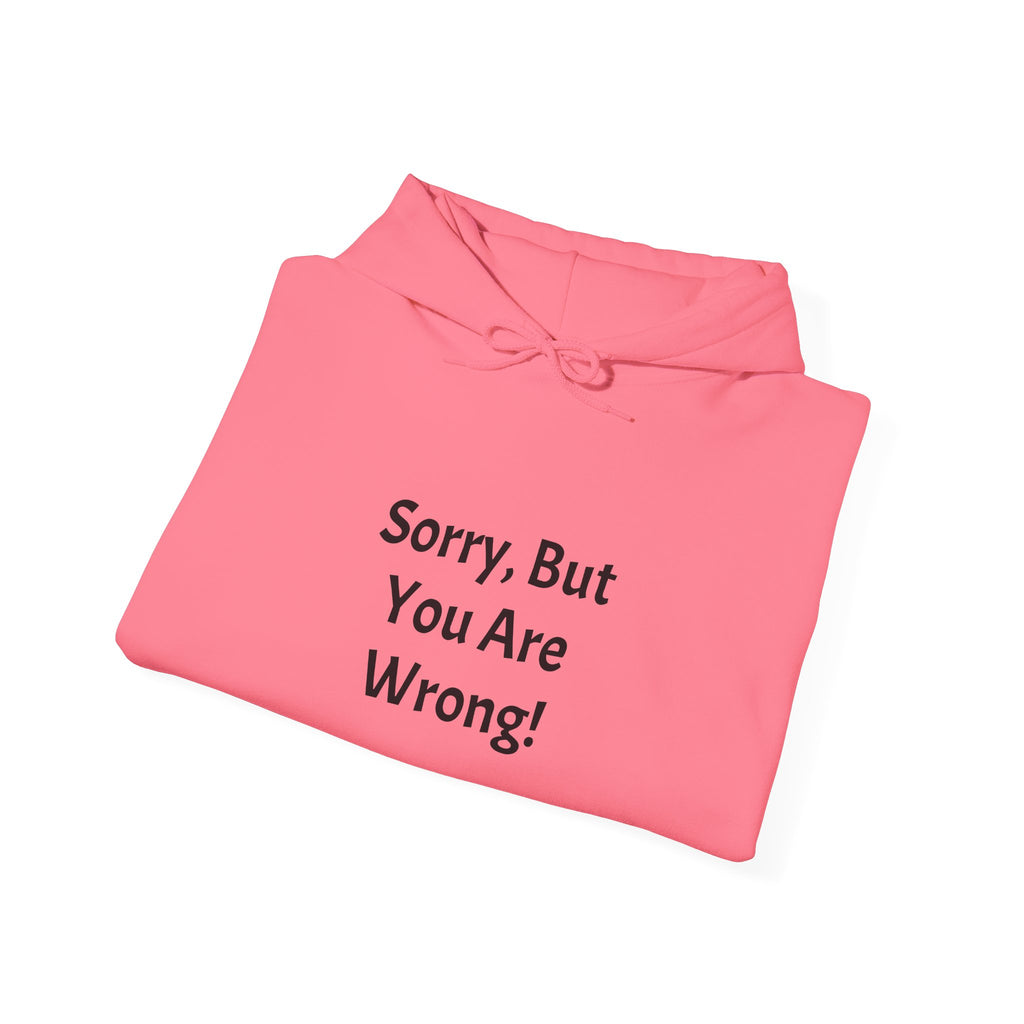 'Sorry, But You Are Wrong!' Hoodie - Funny Statement Pullover