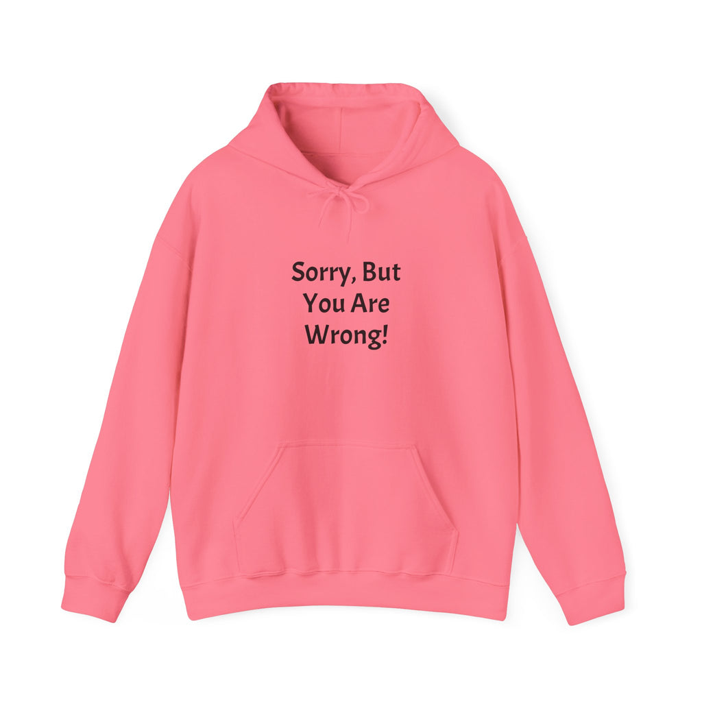 'Sorry, But You Are Wrong!' Hoodie - Funny Statement Pullover