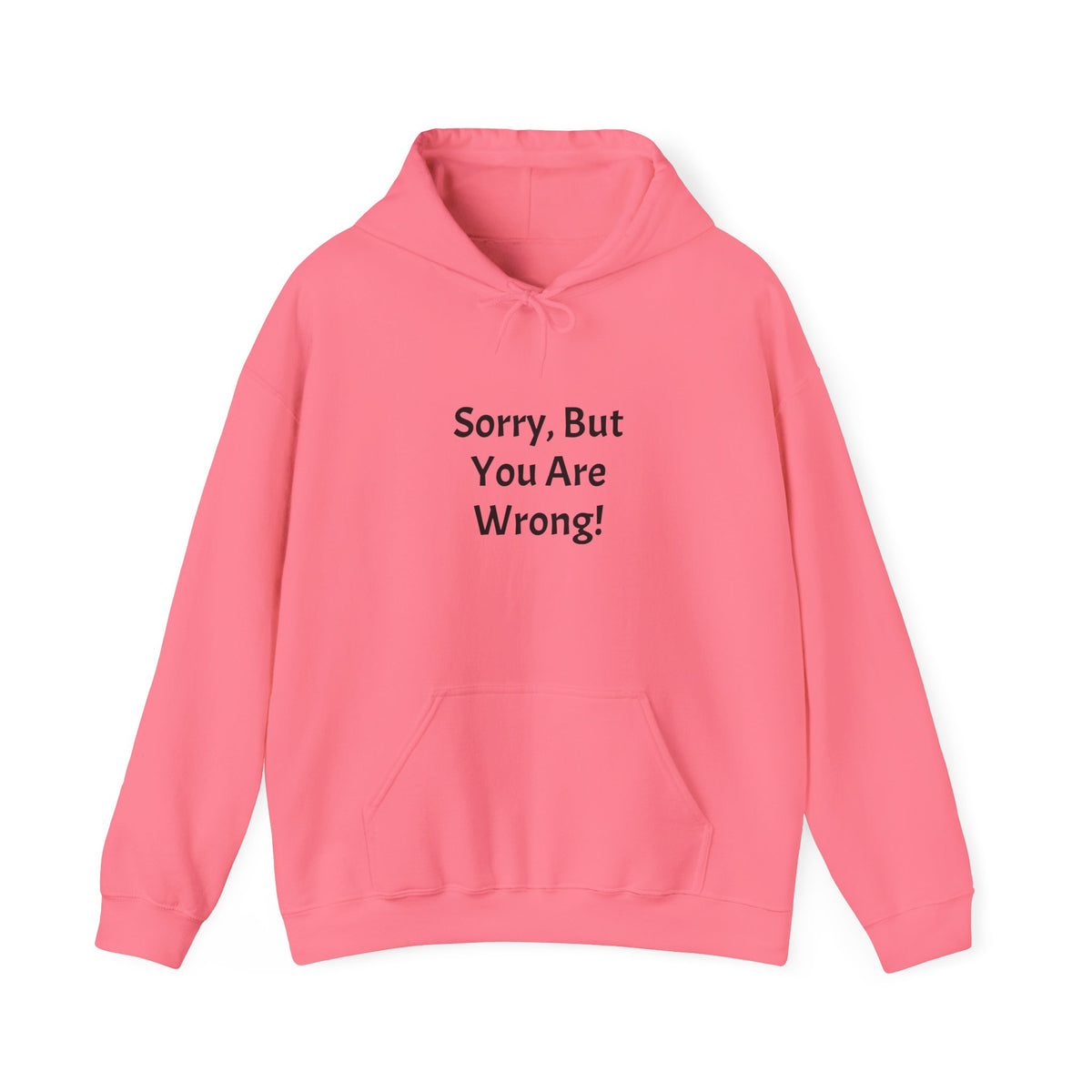 'Sorry, But You Are Wrong!' Hoodie - Funny Statement Pullover