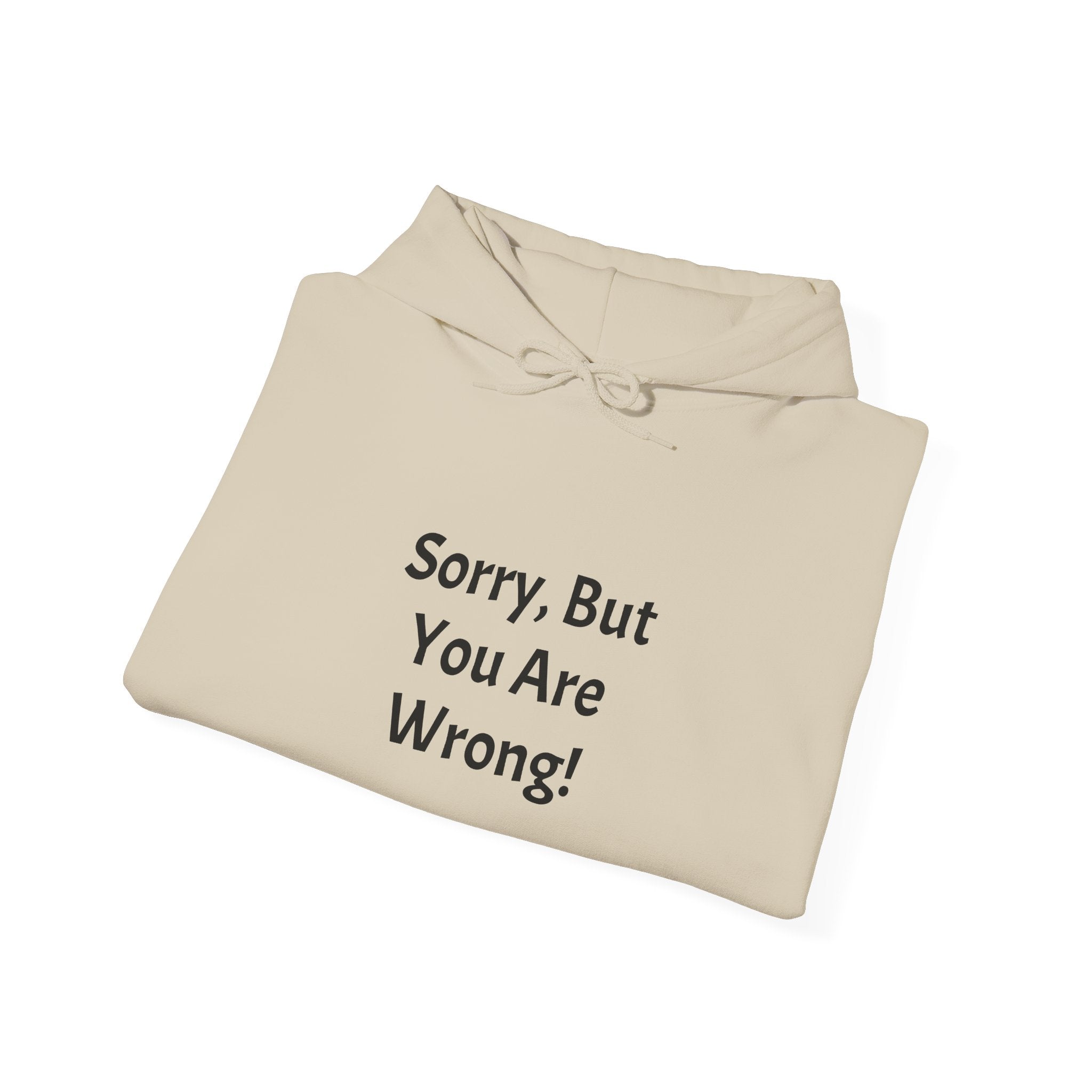 'Sorry, But You Are Wrong!' Hoodie - Funny Statement Pullover