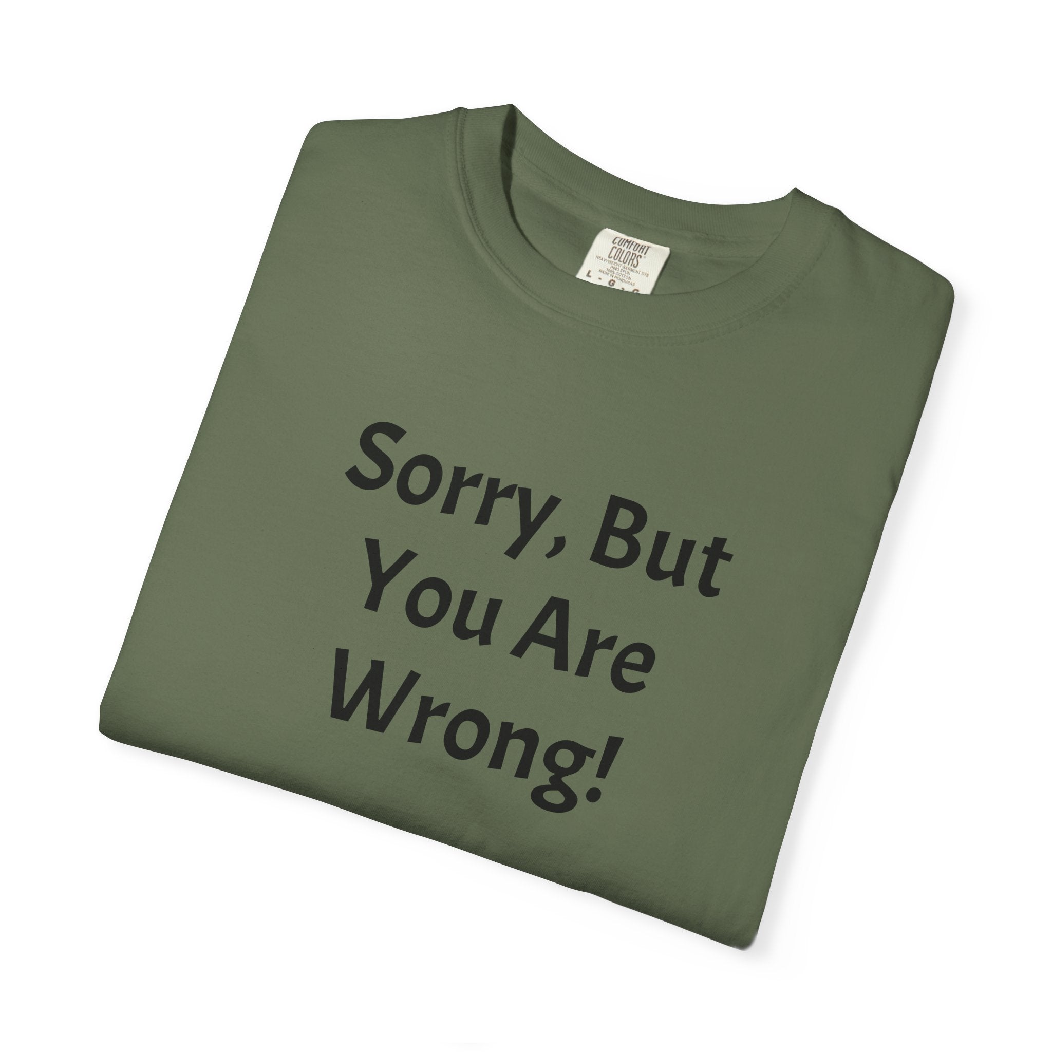 Sorry, But You Are Wrong! T-Shirt