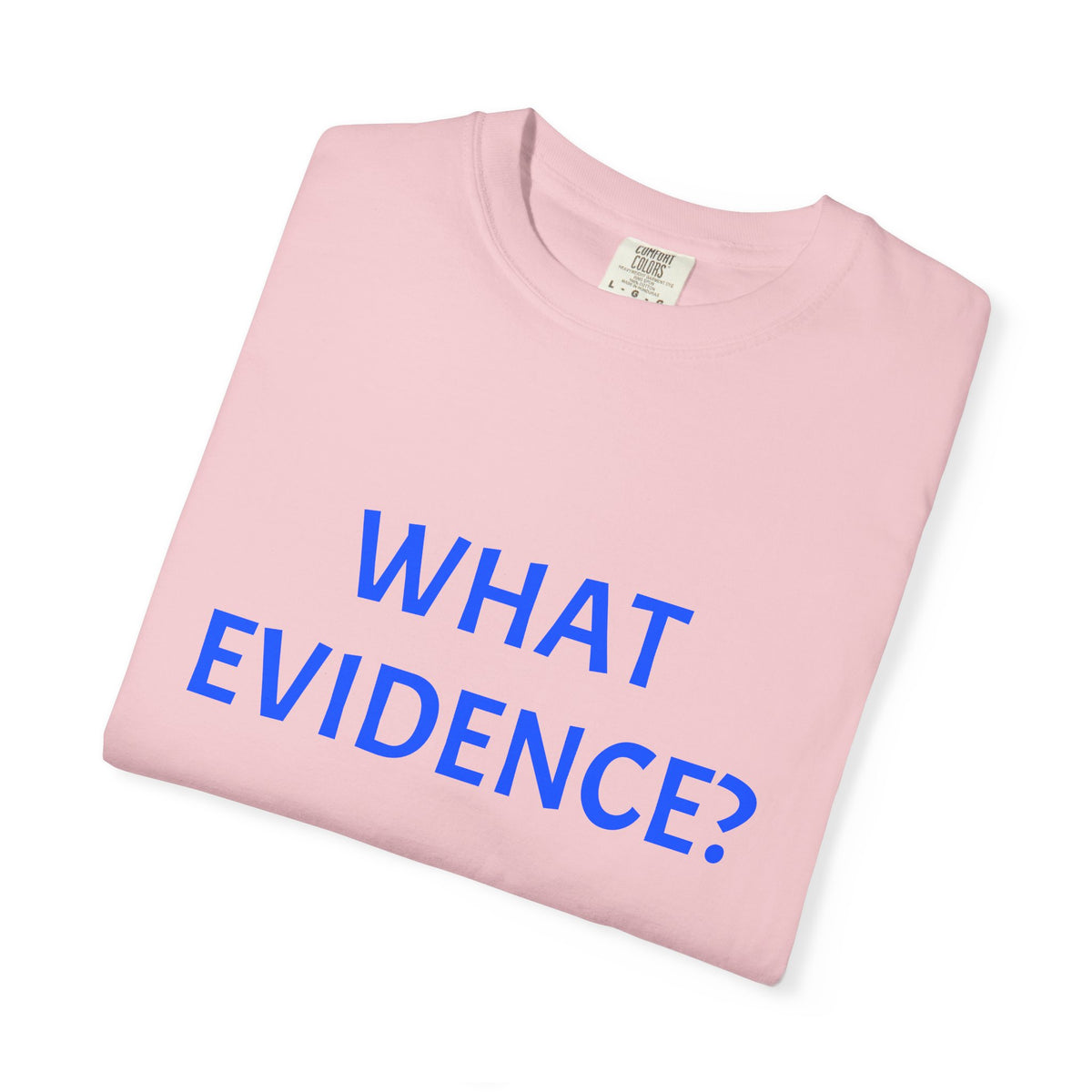 What Evidence? T-Shirt — Funny Skeptic Graphic Tee