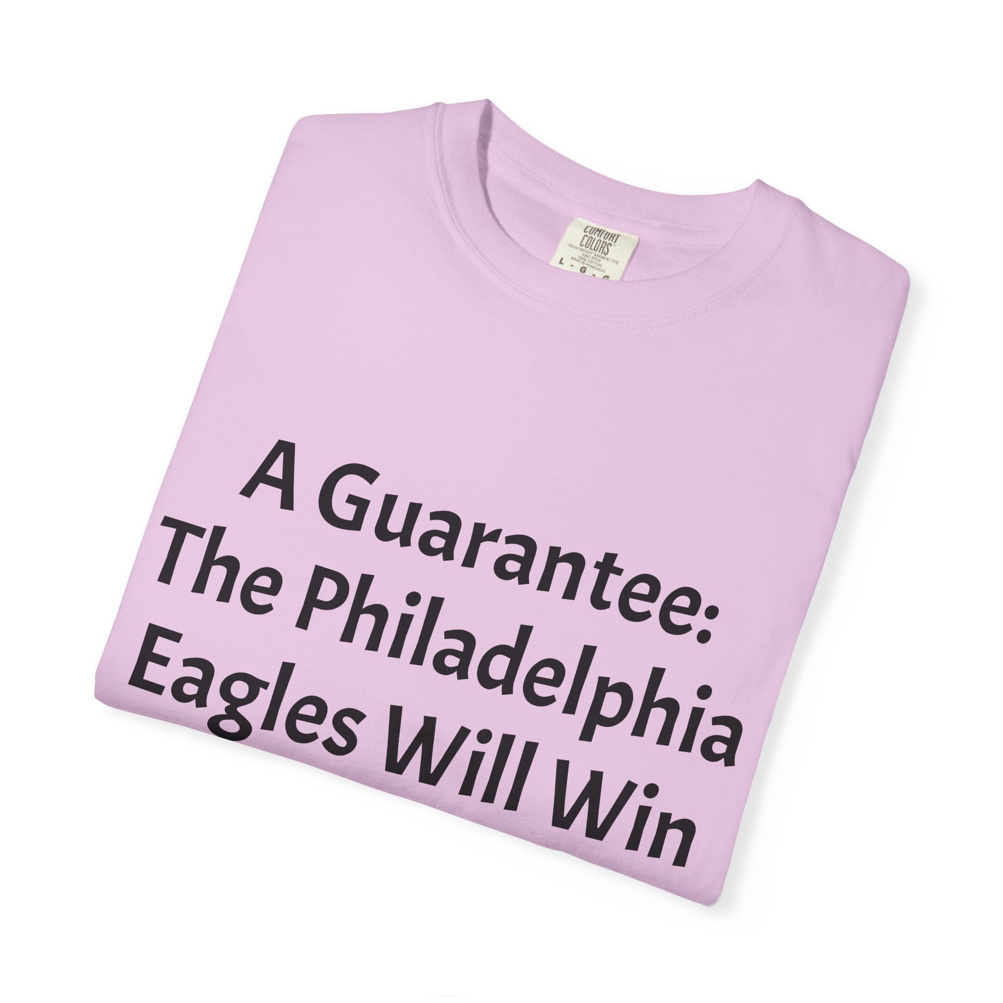 Eagles 2027 Super Bowl Guarantee T-Shirt – 'Go Birds!' Fan Tee