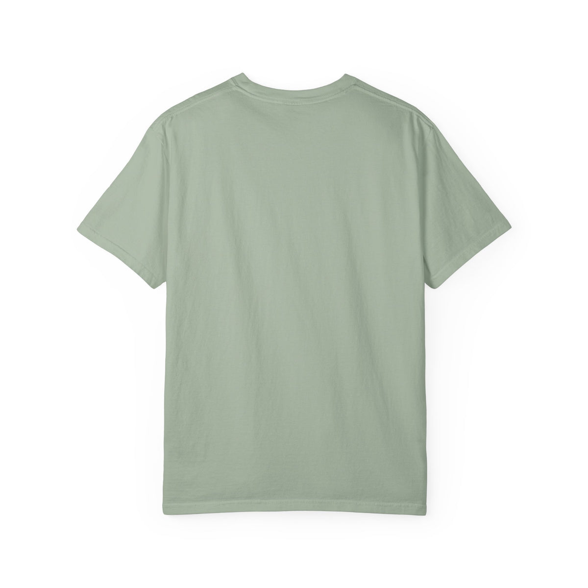 Eagles 2027 Super Bowl Guarantee T-Shirt – 'Go Birds!' Fan Tee