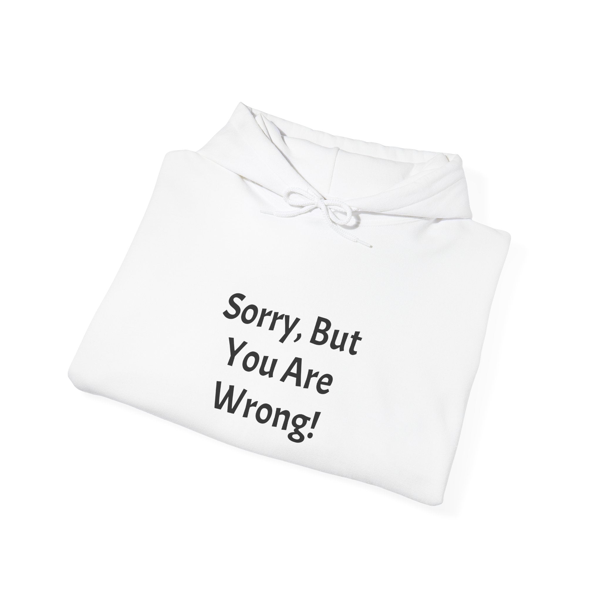 'Sorry, But You Are Wrong!' Hoodie - Funny Statement Pullover