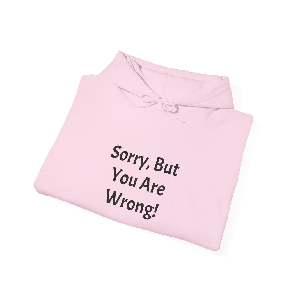 'Sorry, But You Are Wrong!' Hoodie - Funny Statement Pullover