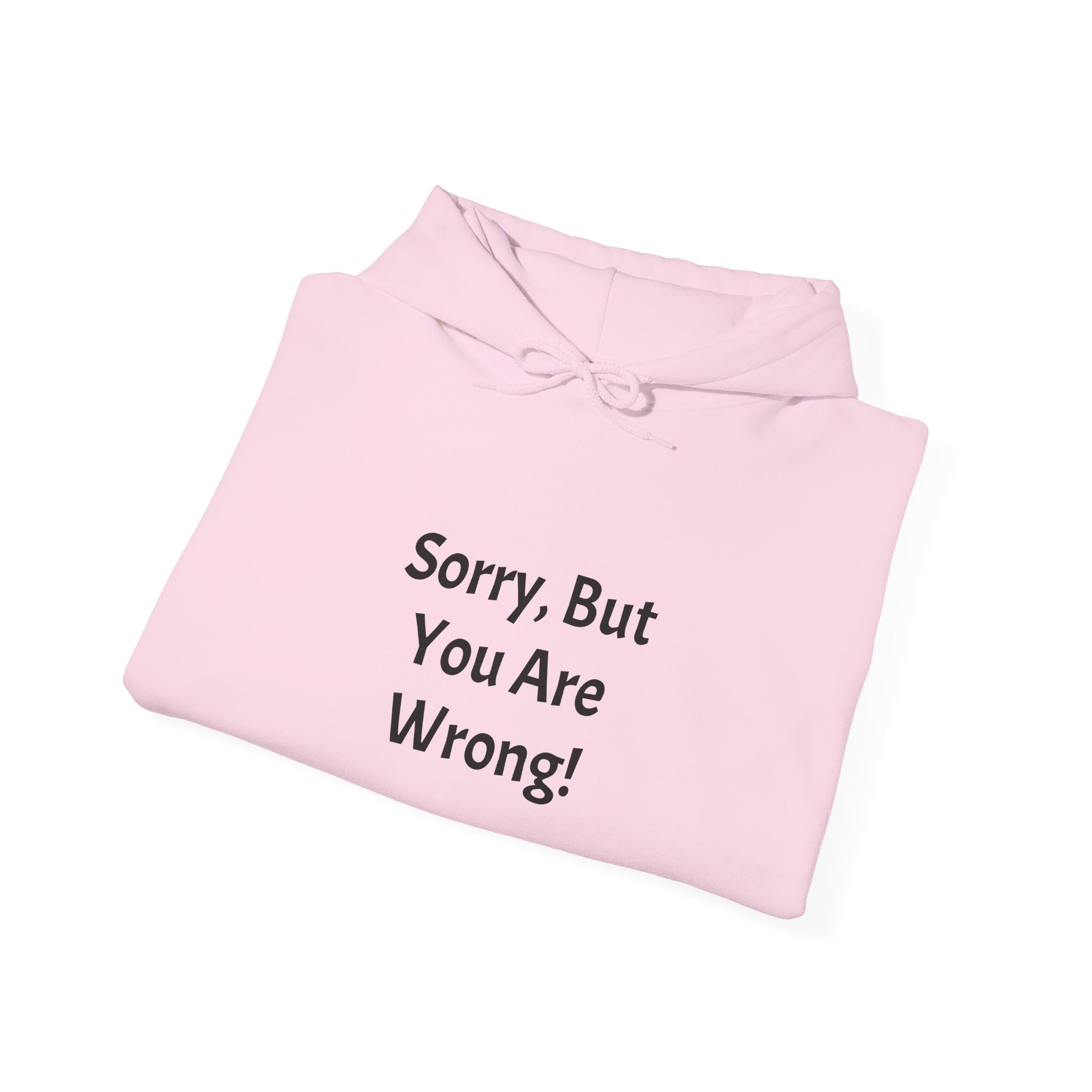 'Sorry, But You Are Wrong!' Hoodie - Funny Statement Pullover