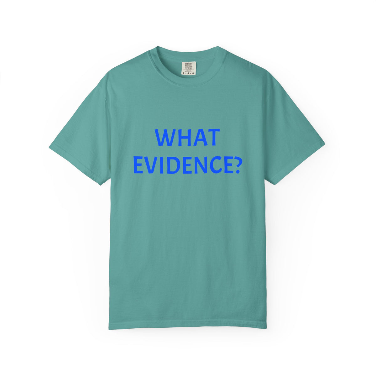 What Evidence? T-Shirt — Funny Skeptic Graphic Tee