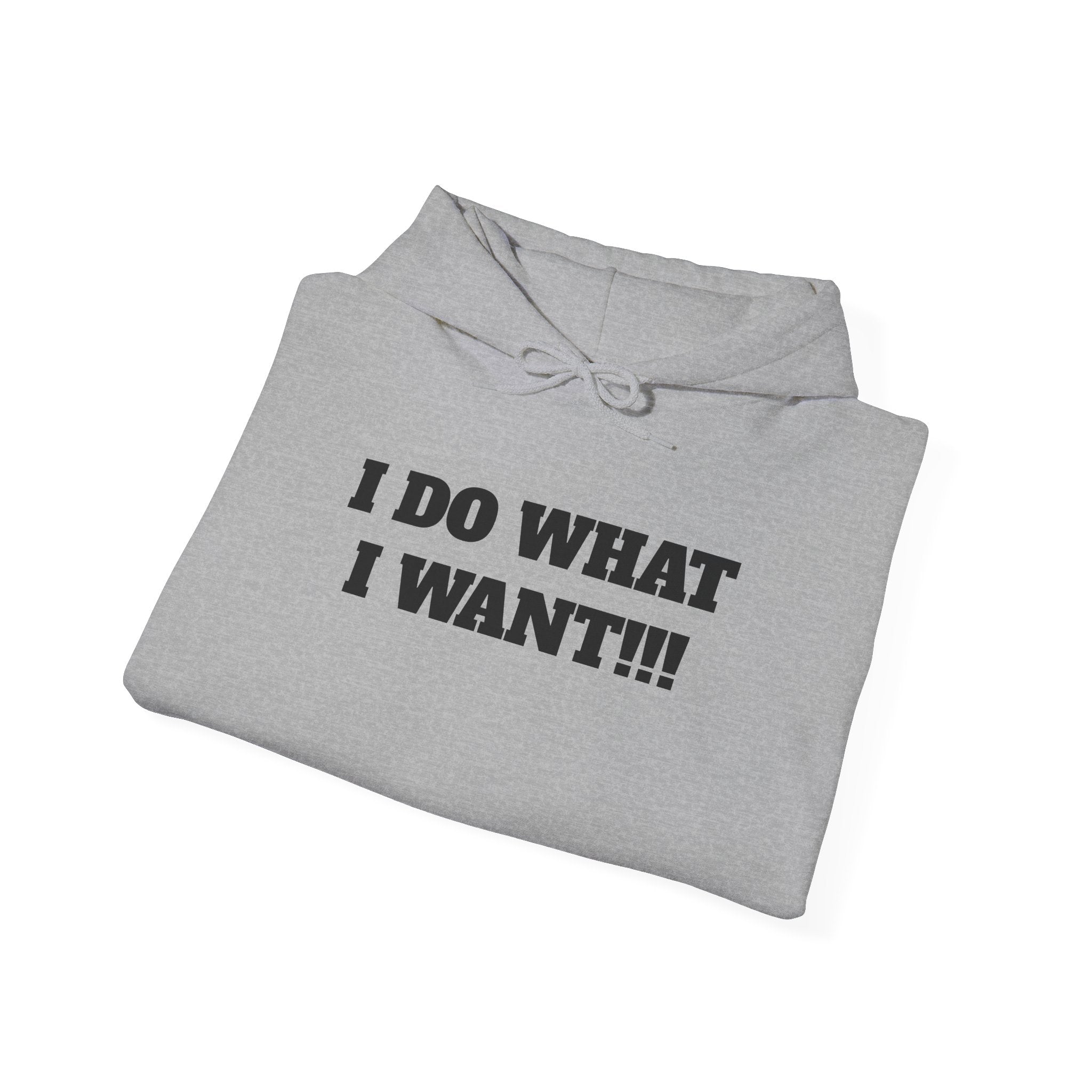 Hoodie — I DO WHAT I WANT!!! Bold Statement Pullover