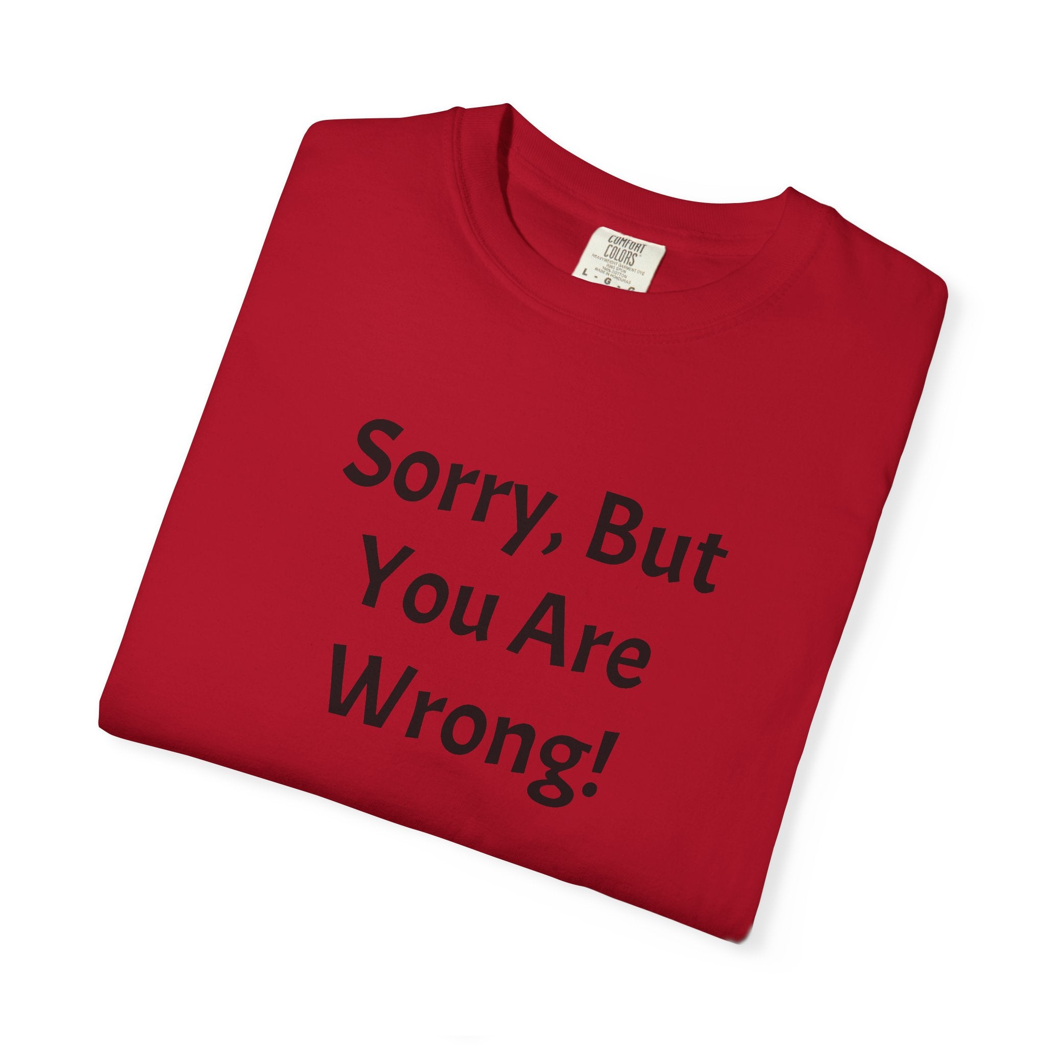 Sorry, But You Are Wrong! T-Shirt