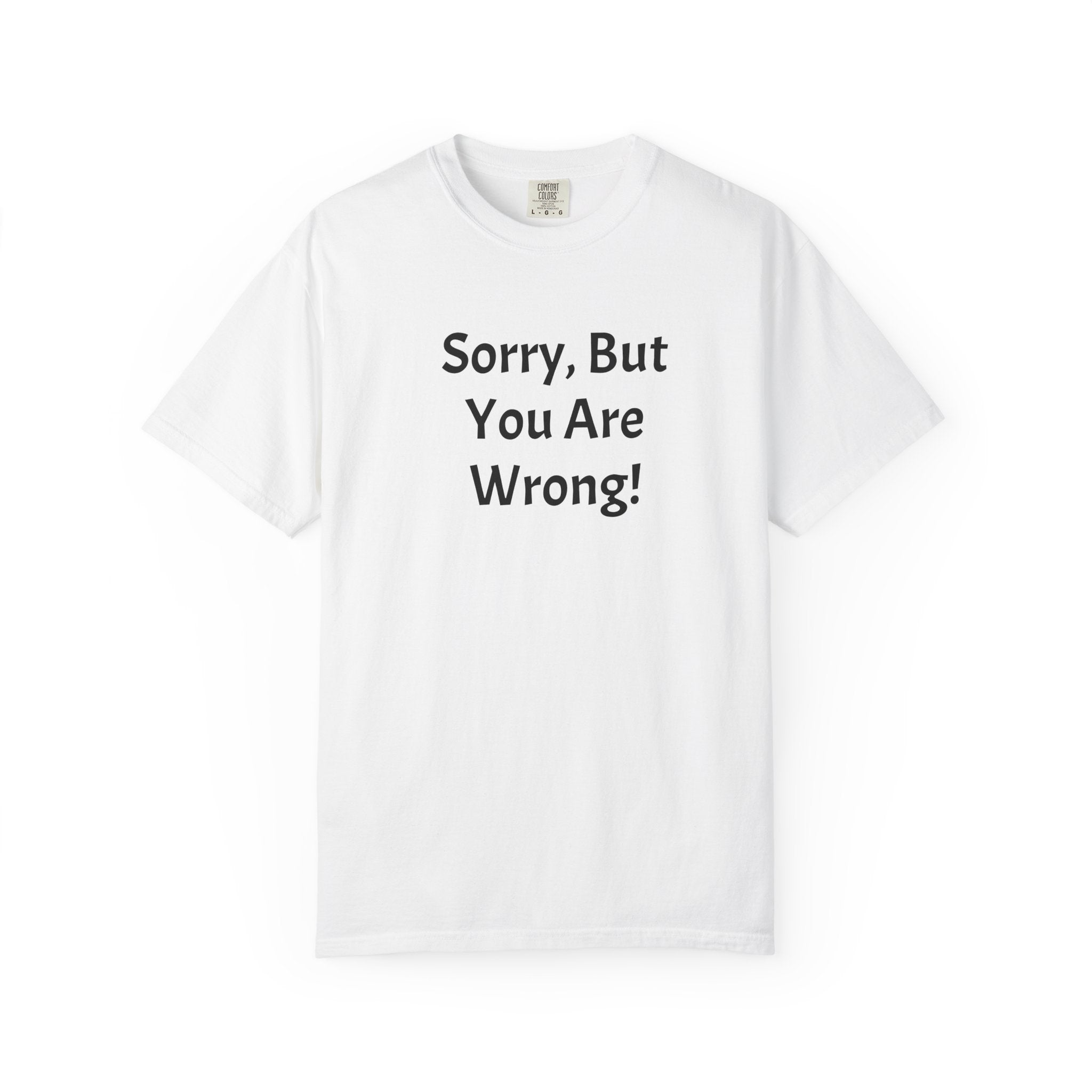 Hoodie — Sorry, But You Are Wrong!