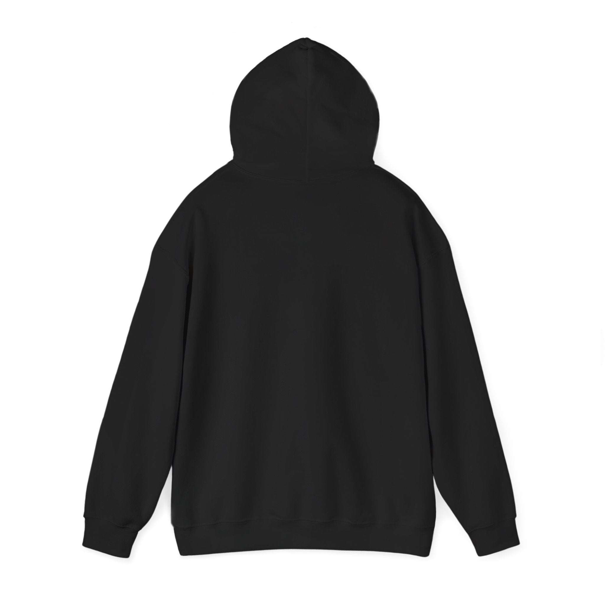 1995 Nostalgia Hoodie – “Hey Cowboy Fans, Do You Remember the Year... 1995?”