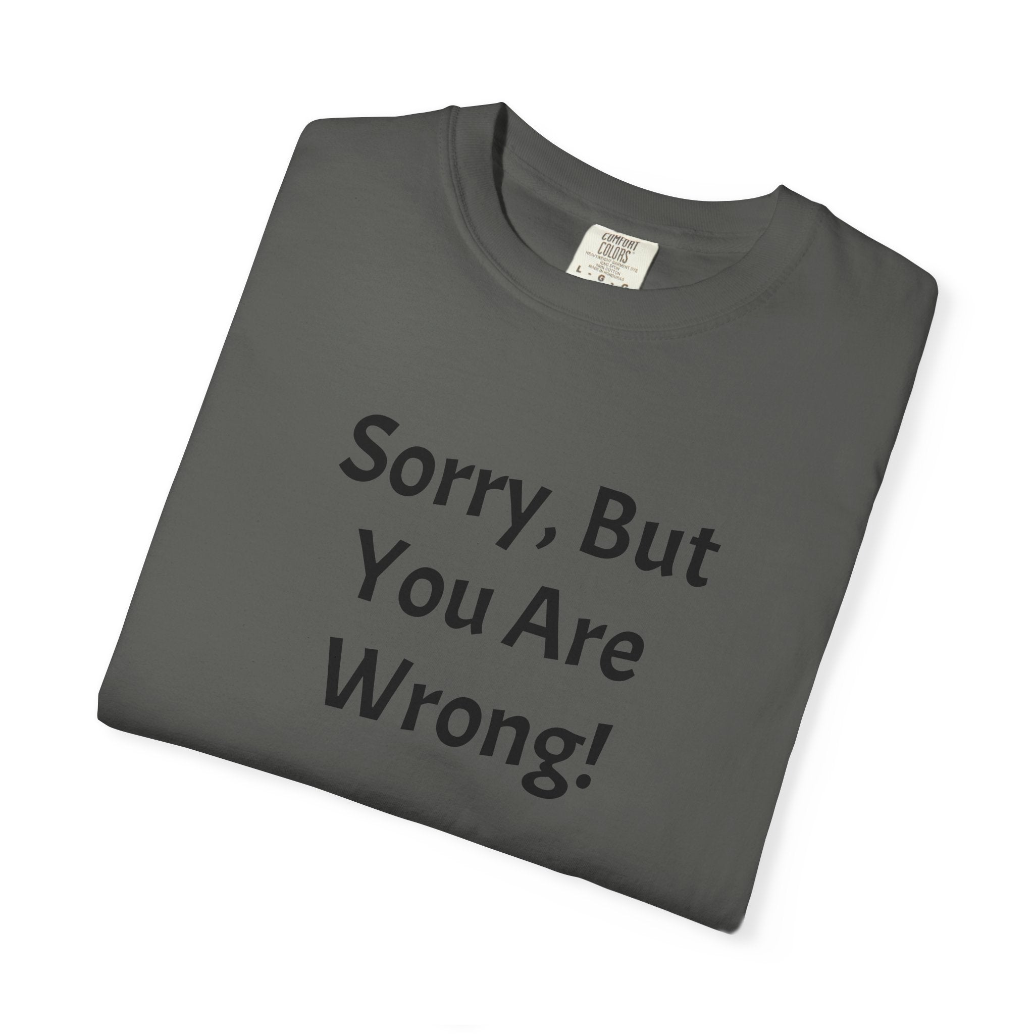 Sorry, But You Are Wrong! T-Shirt