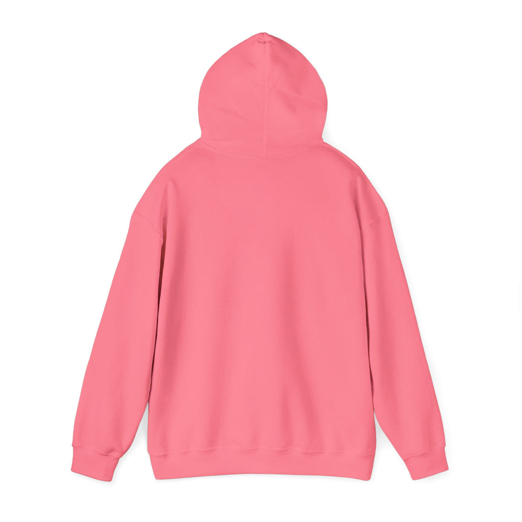 'Sorry, But You Are Wrong!' Hoodie - Funny Statement Pullover