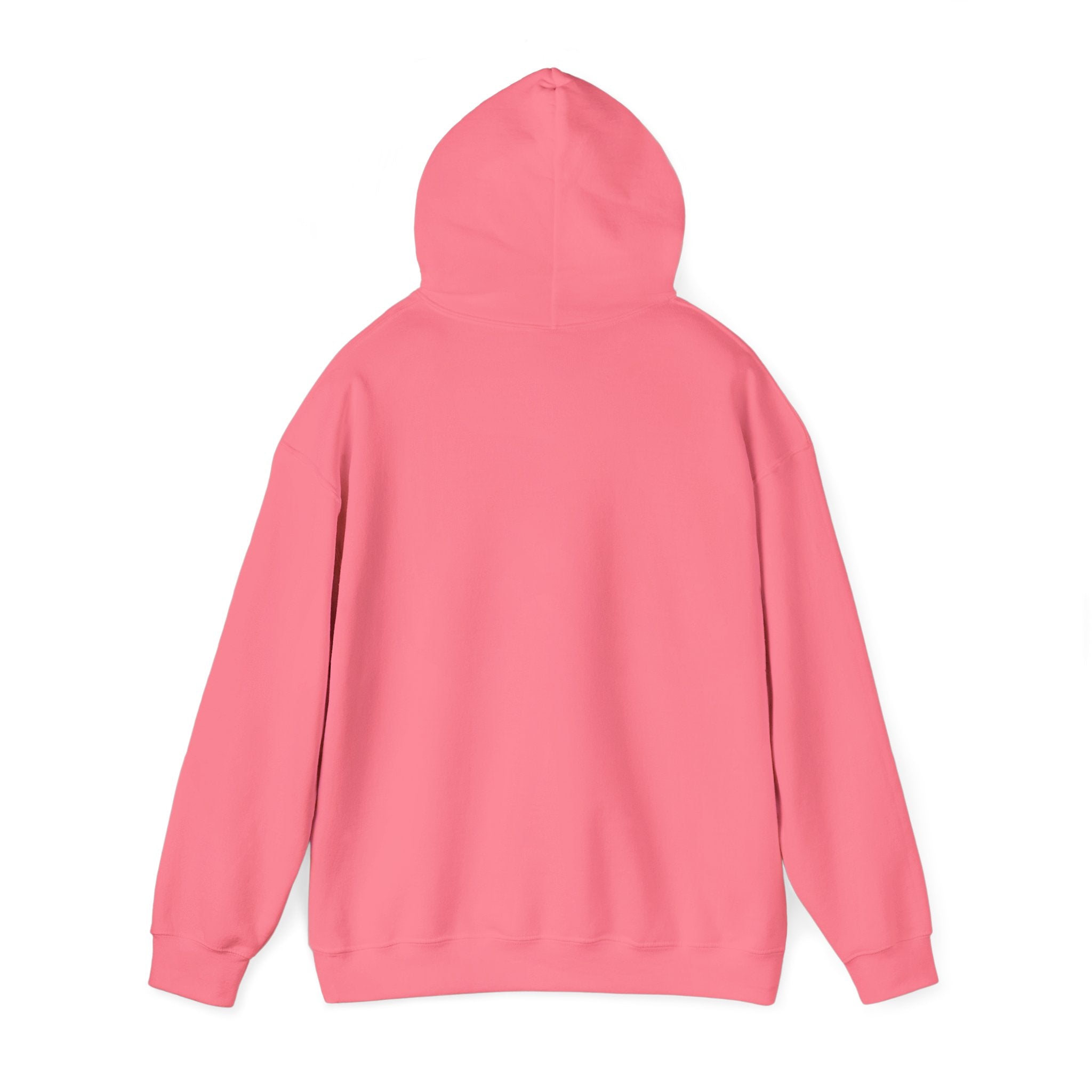 'Sorry, But You Are Wrong!' Hoodie - Funny Statement Pullover