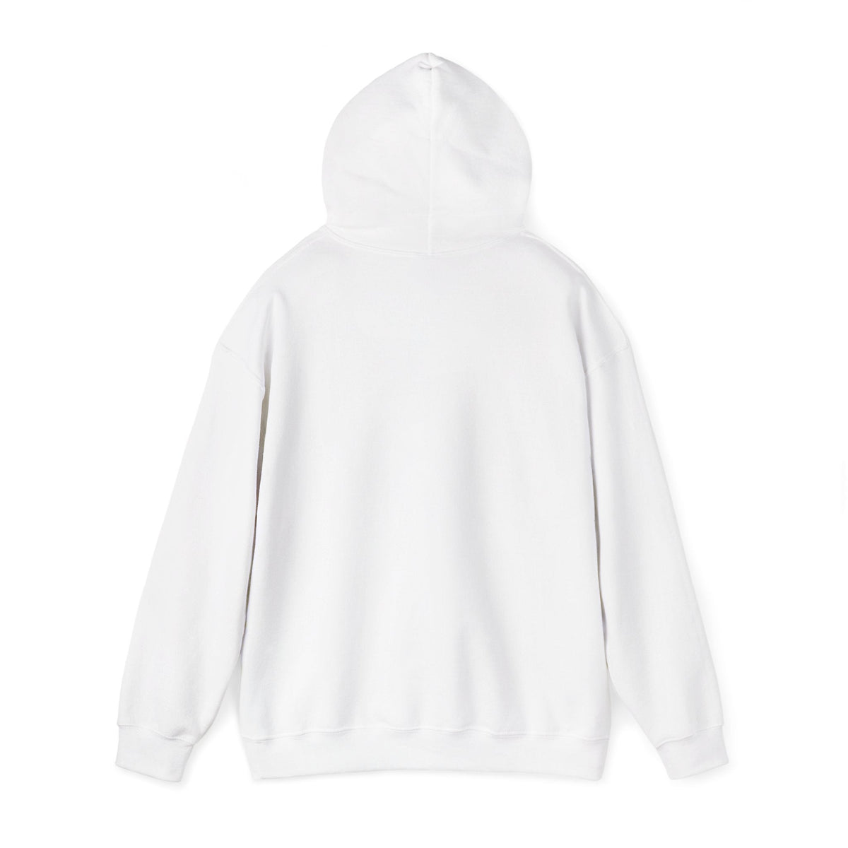 Hoodie — "Important Days in Your Life" Inspirational Quote Pullover