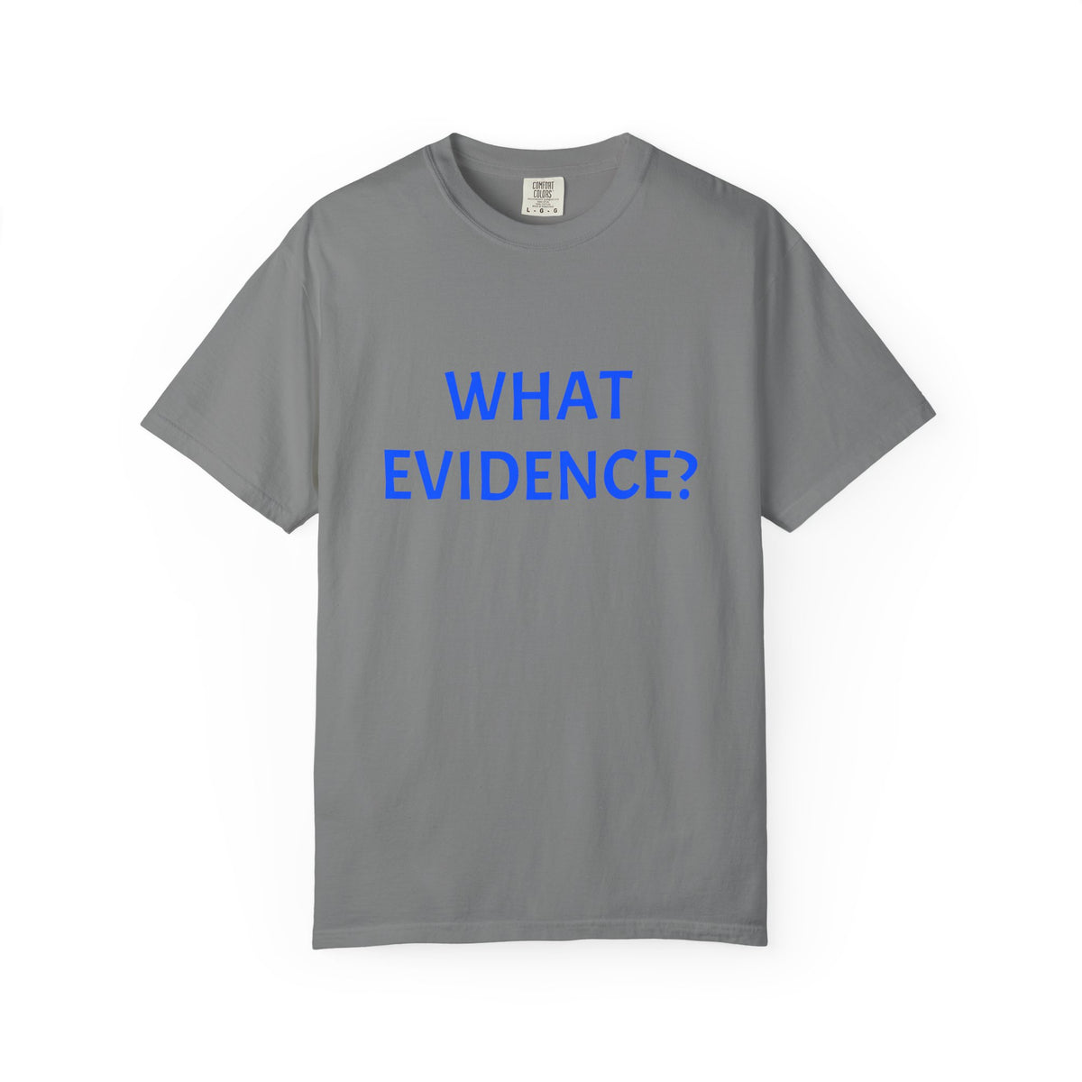 What Evidence? T-Shirt — Funny Skeptic Graphic Tee