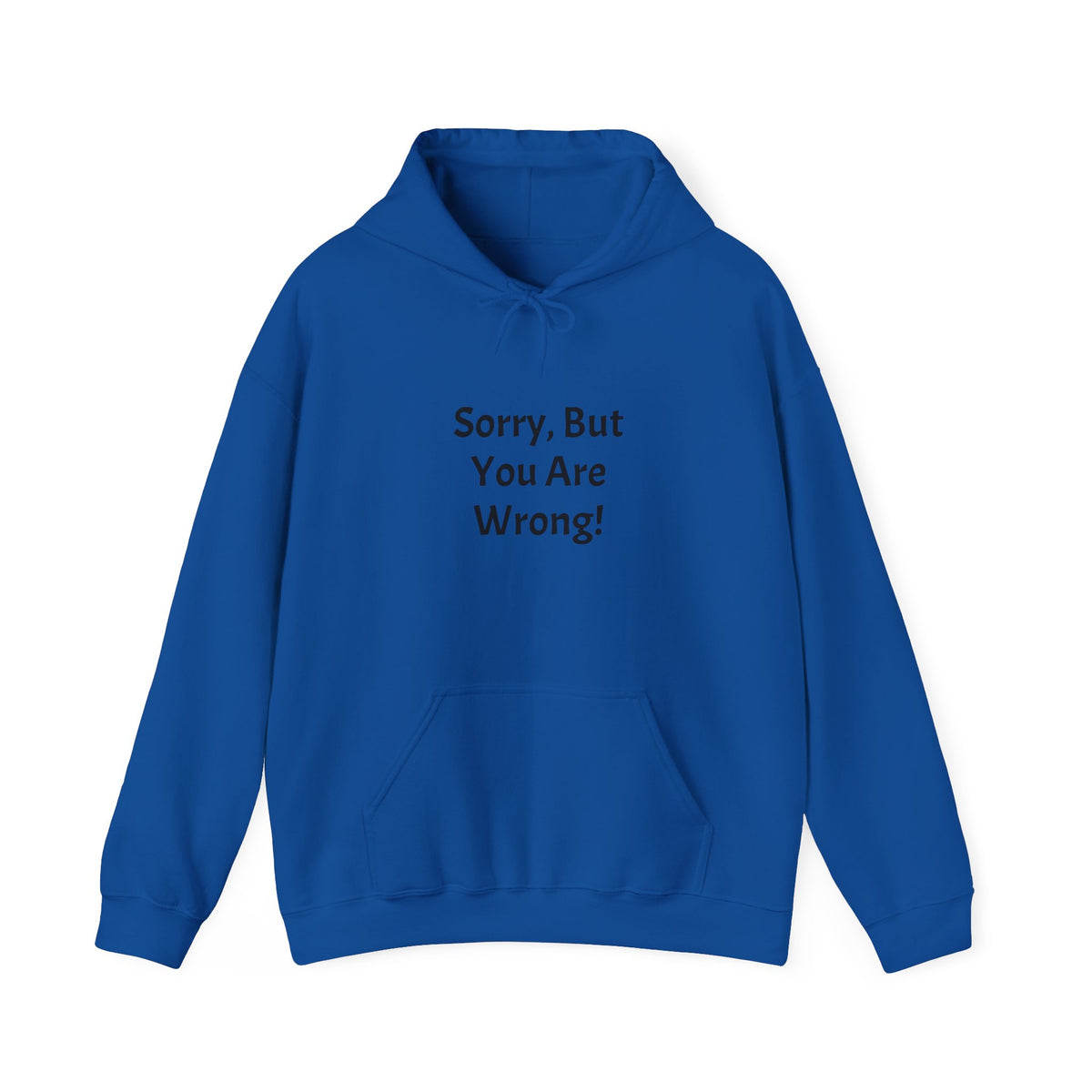 'Sorry, But You Are Wrong!' Hoodie - Funny Statement Pullover