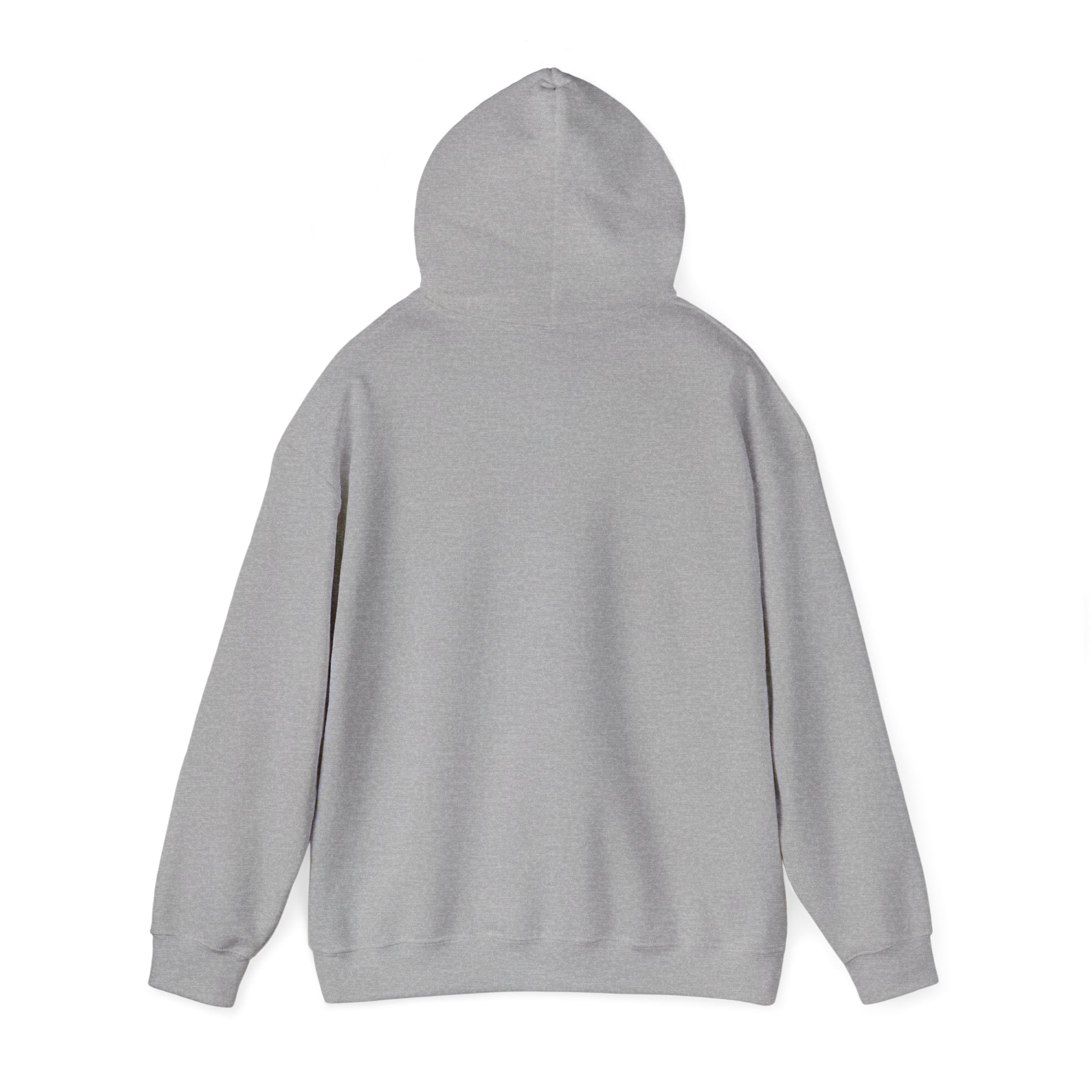 1995 Nostalgia Hoodie – “Hey Cowboy Fans, Do You Remember the Year... 1995?”