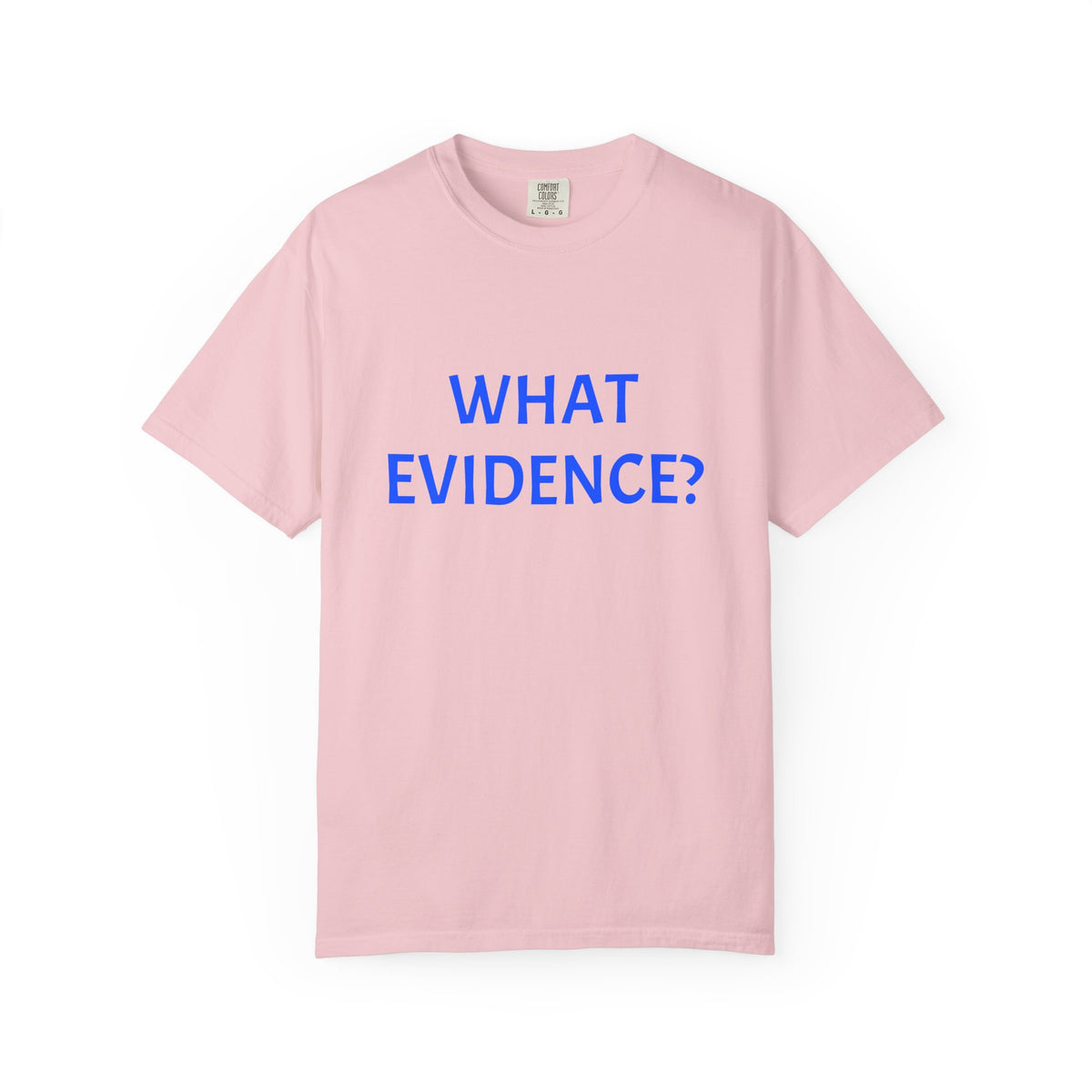 What Evidence? T-Shirt — Funny Skeptic Graphic Tee