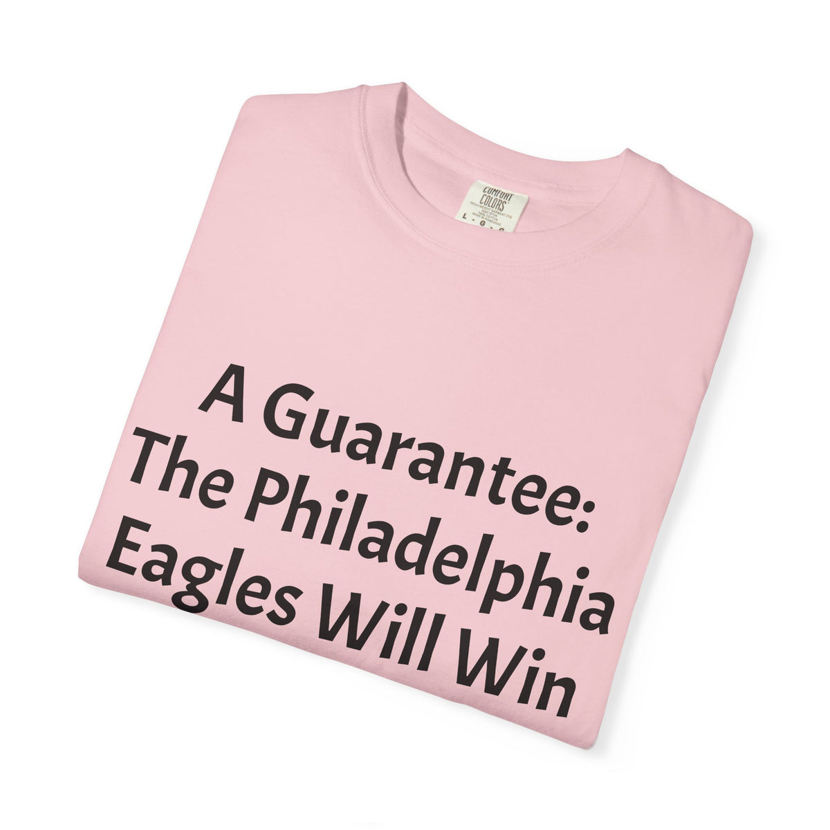 Eagles 2027 Super Bowl Guarantee T-Shirt – 'Go Birds!' Fan Tee