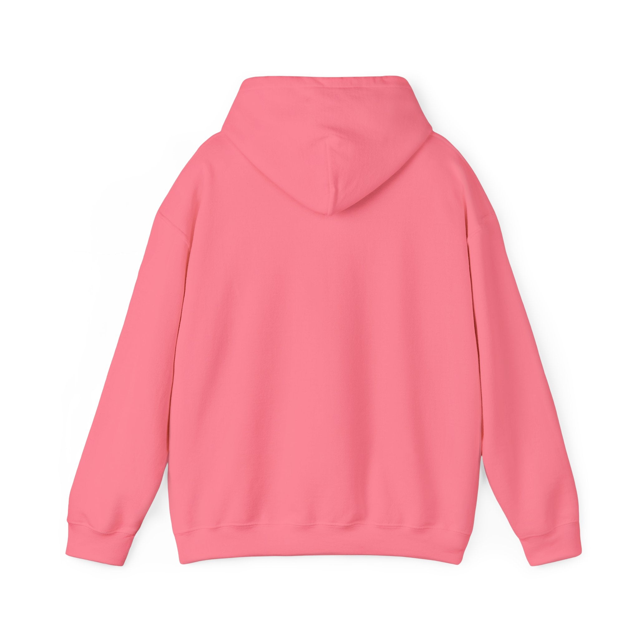'Sorry, But You Are Wrong!' Hoodie - Funny Statement Pullover