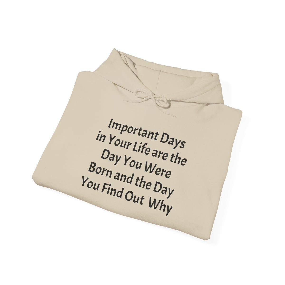 Hoodie — "Important Days in Your Life" Inspirational Quote Pullover