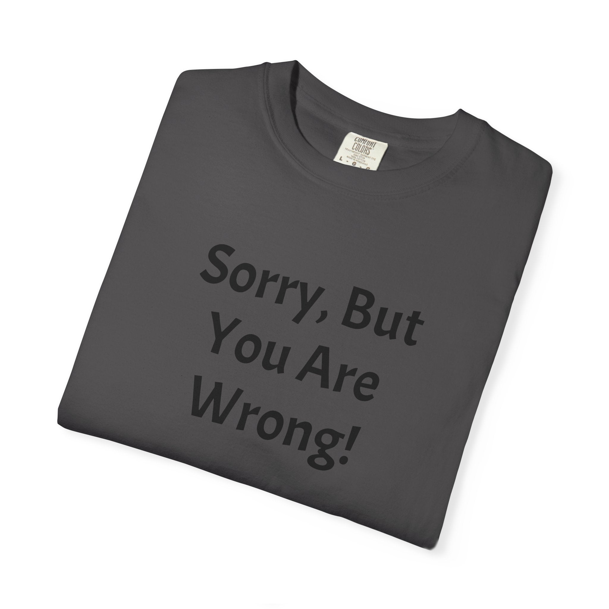 Sorry, But You Are Wrong! T-Shirt