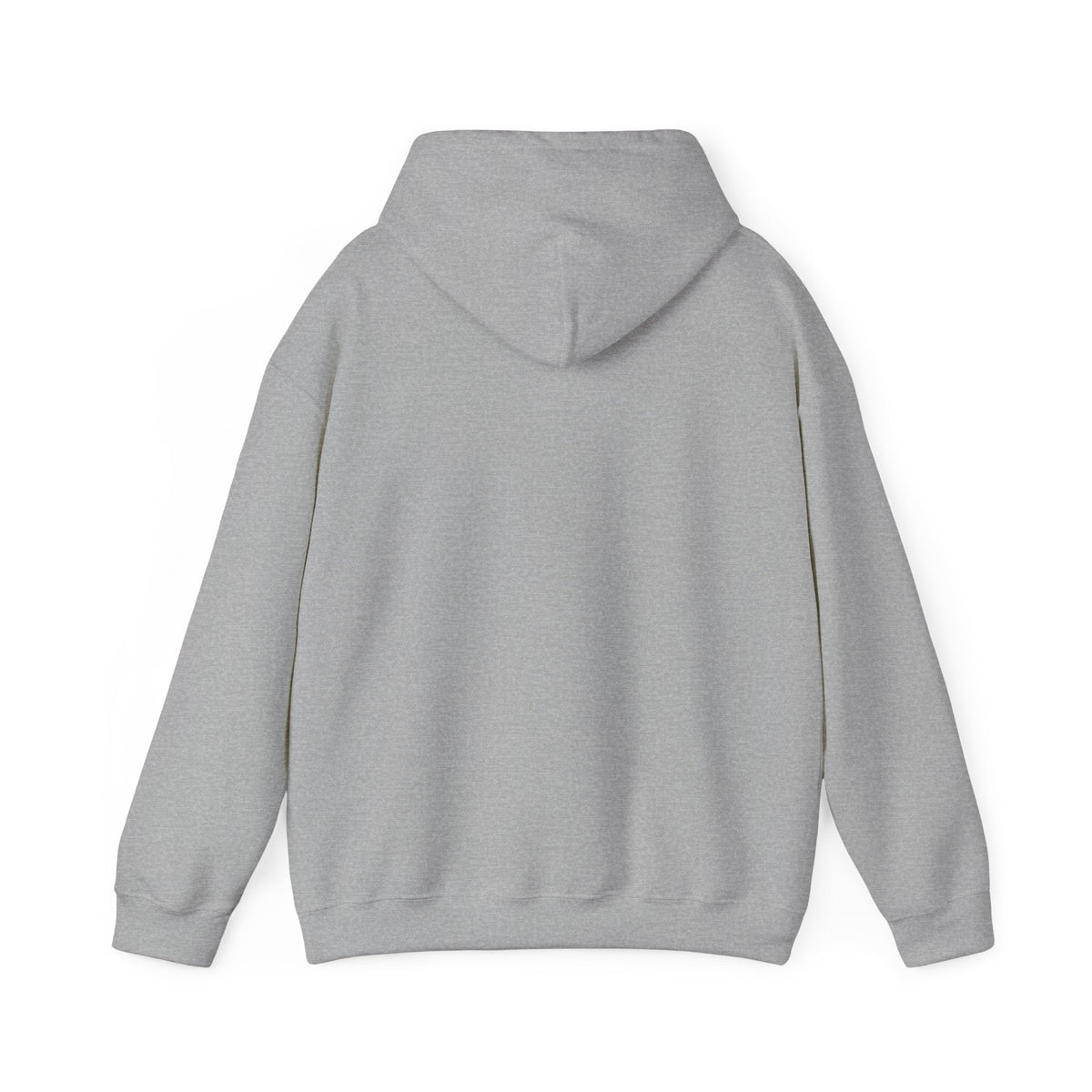 Hoodie — “Sorry, I am Smarter Than You!” Funny Sarcastic Pullover