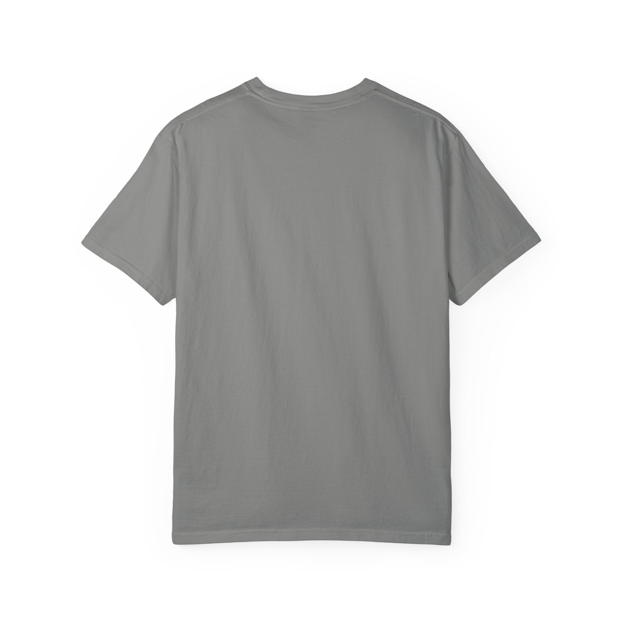 T-Shirt — "The Two Most Important Days" Inspirational Quote Tee