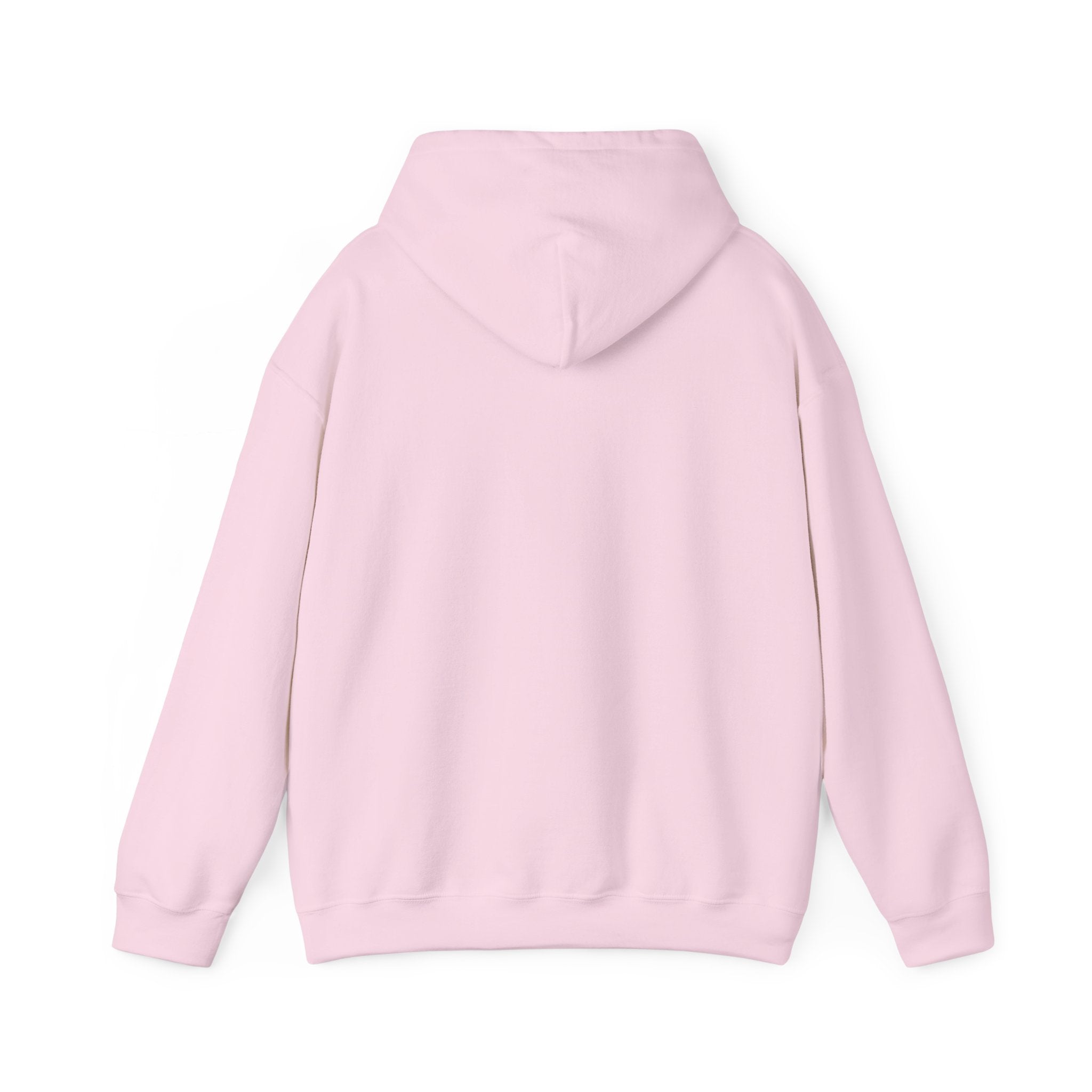 Quote Hoodie — “The Two Most Important Days…” Inspirational Pullover