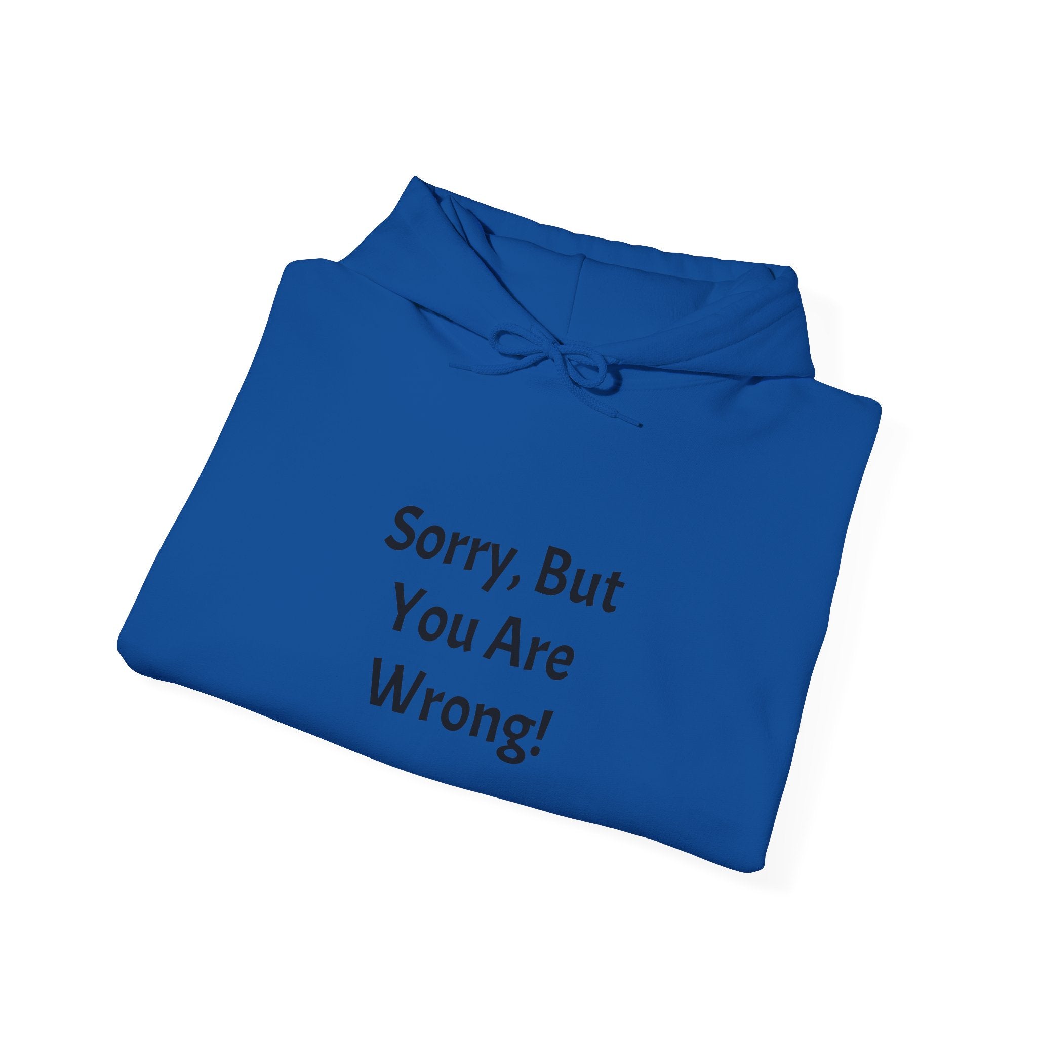 'Sorry, But You Are Wrong!' Hoodie - Funny Statement Pullover