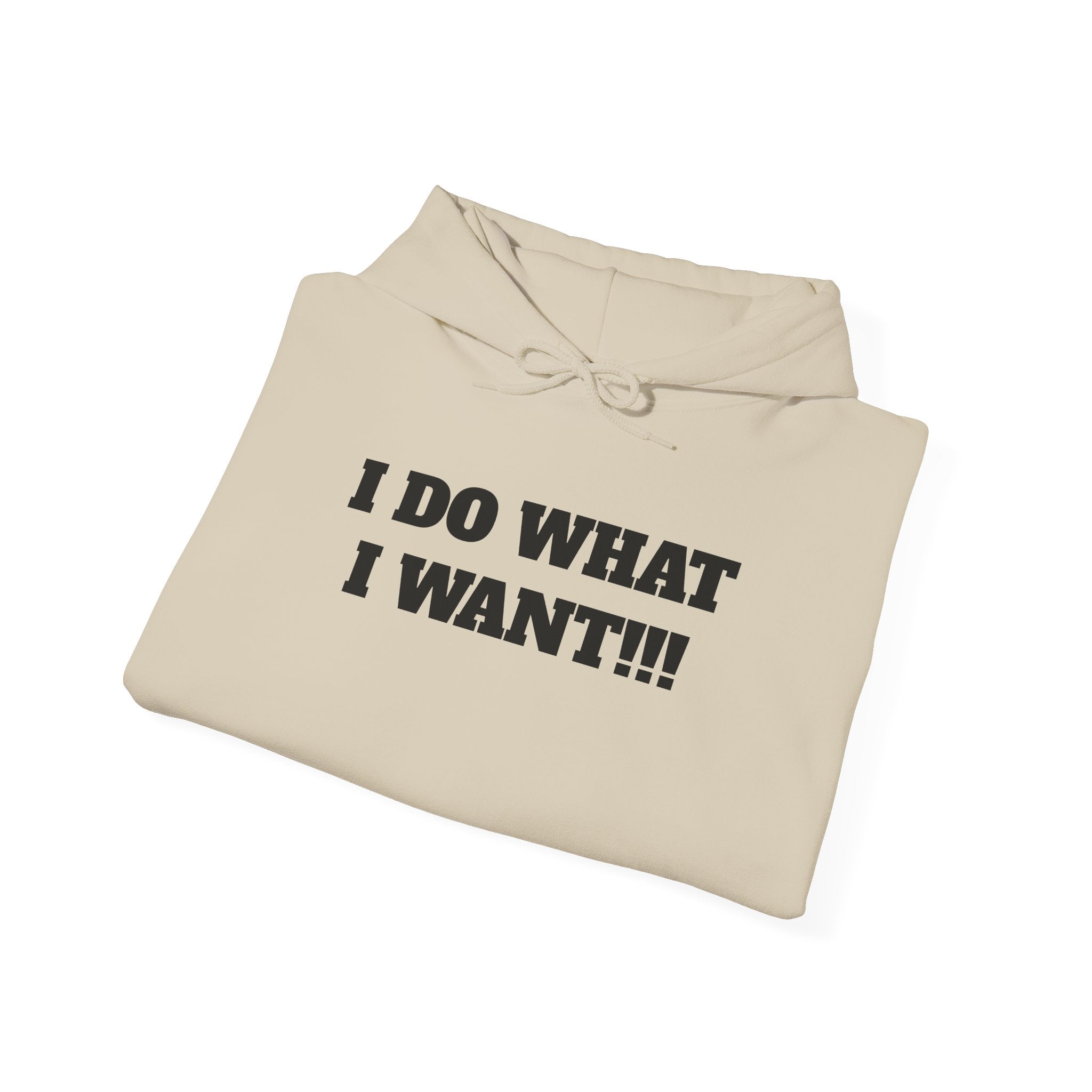 Hoodie — I DO WHAT I WANT!!! Bold Statement Pullover