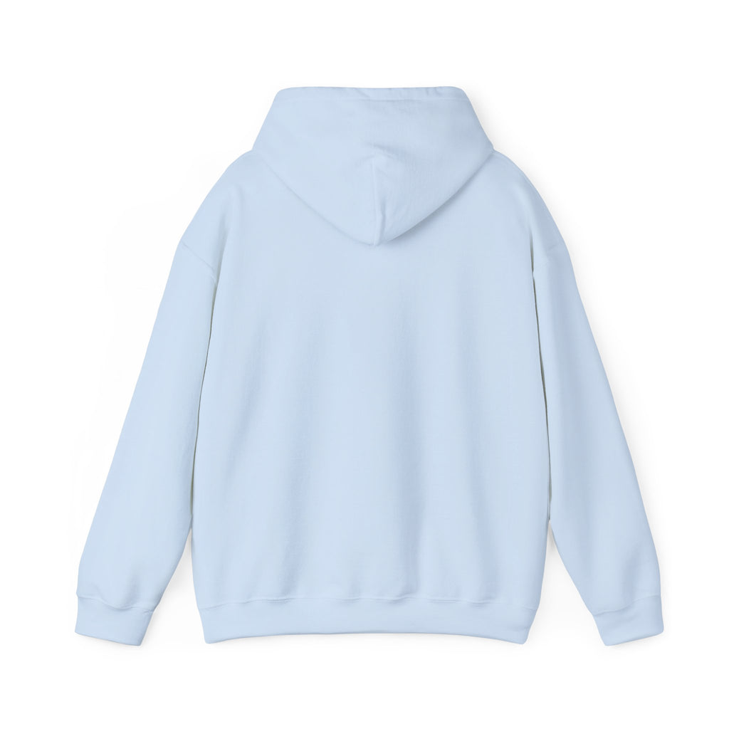 Quote Hoodie — “The Two Most Important Days…” Inspirational Pullover