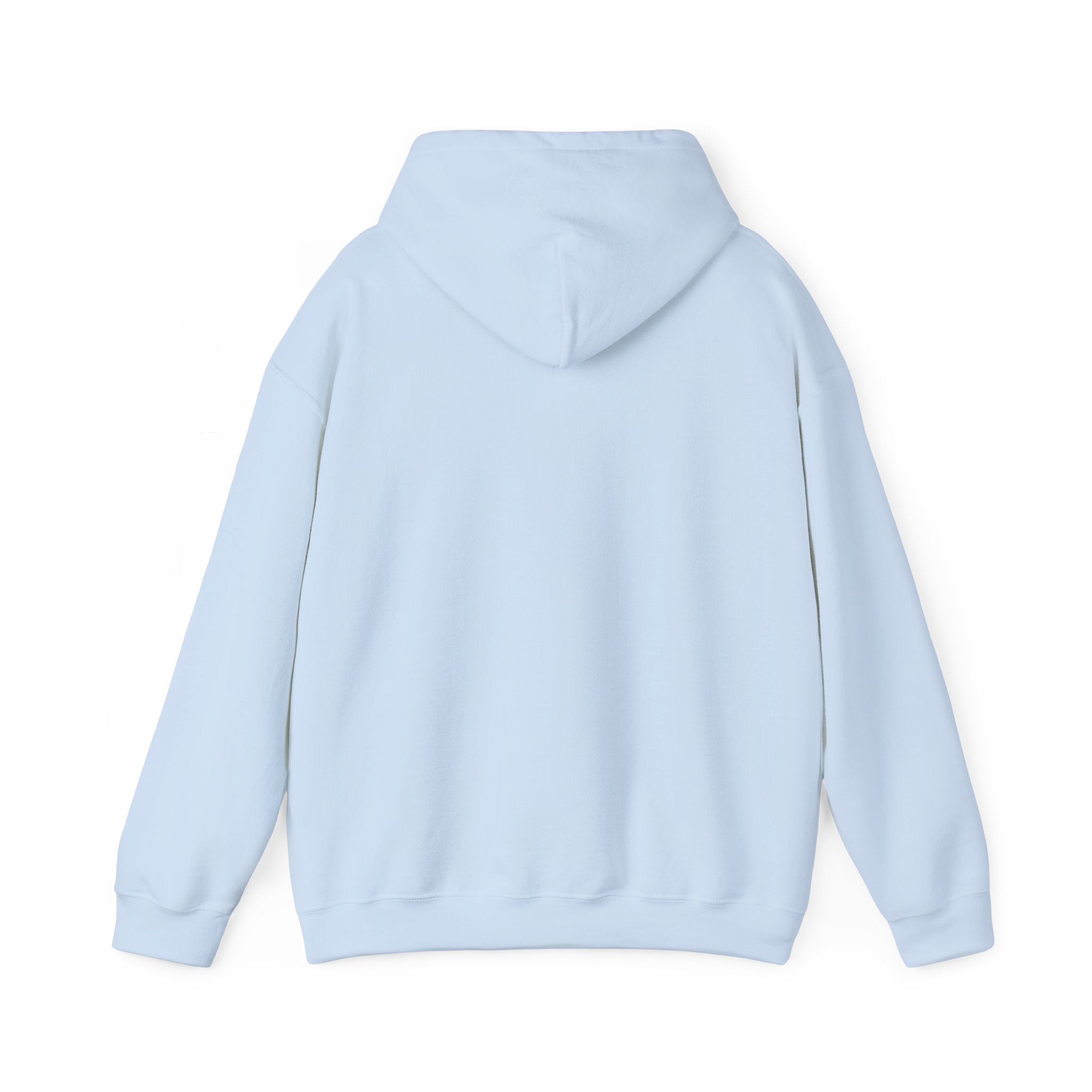 Quote Hoodie — “The Two Most Important Days…” Inspirational Pullover