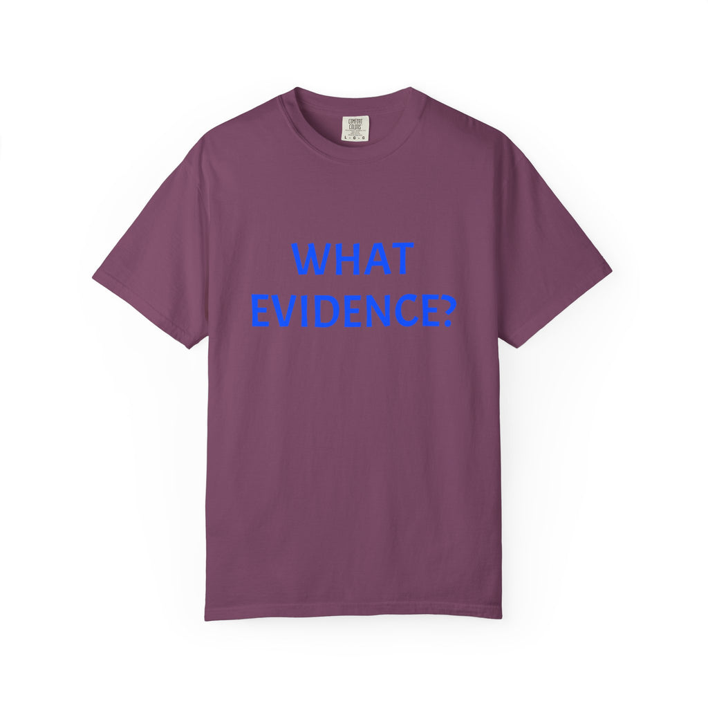 What Evidence? T-Shirt — Funny Skeptic Graphic Tee