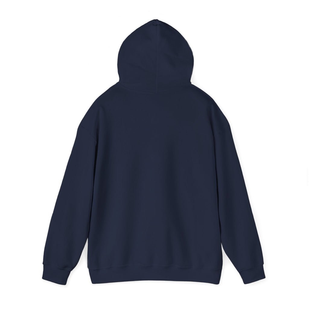 Hoodie — Funny 'How Do You Keep an Idiot in Suspense?' Text Pullover