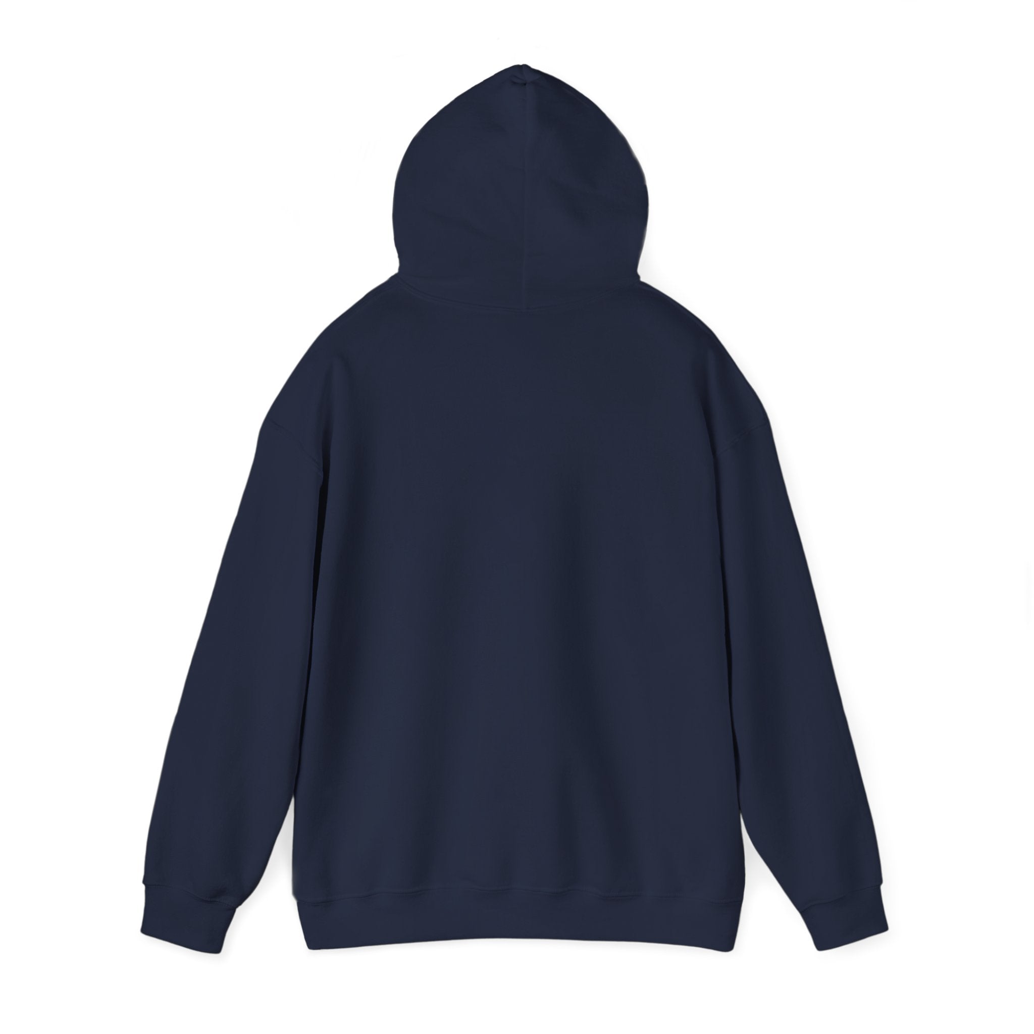 Hoodie — Funny 'How Do You Keep an Idiot in Suspense?' Text Pullover