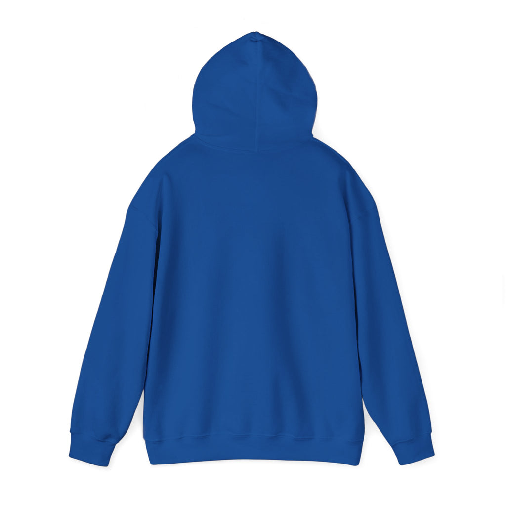 'Sorry, But You Are Wrong!' Hoodie - Funny Statement Pullover