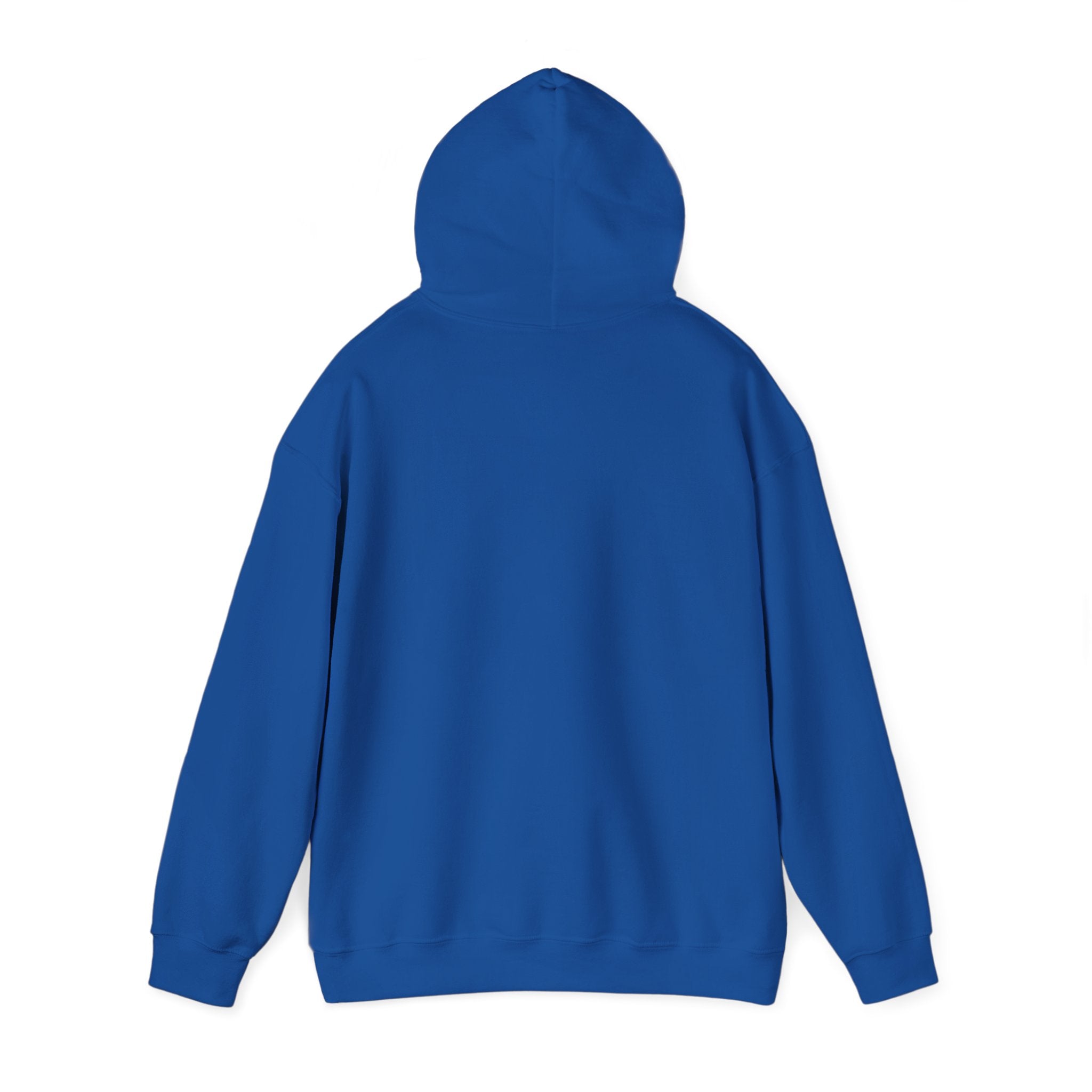 'Sorry, But You Are Wrong!' Hoodie - Funny Statement Pullover