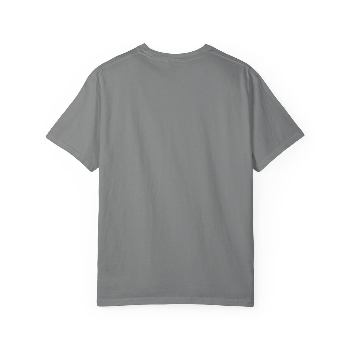 Eagles 2027 Super Bowl Guarantee T-Shirt – 'Go Birds!' Fan Tee